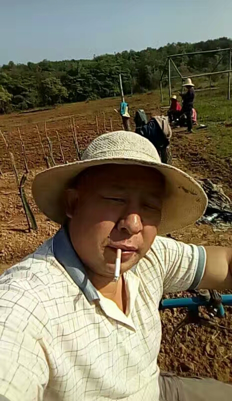 等待。。。。的照片