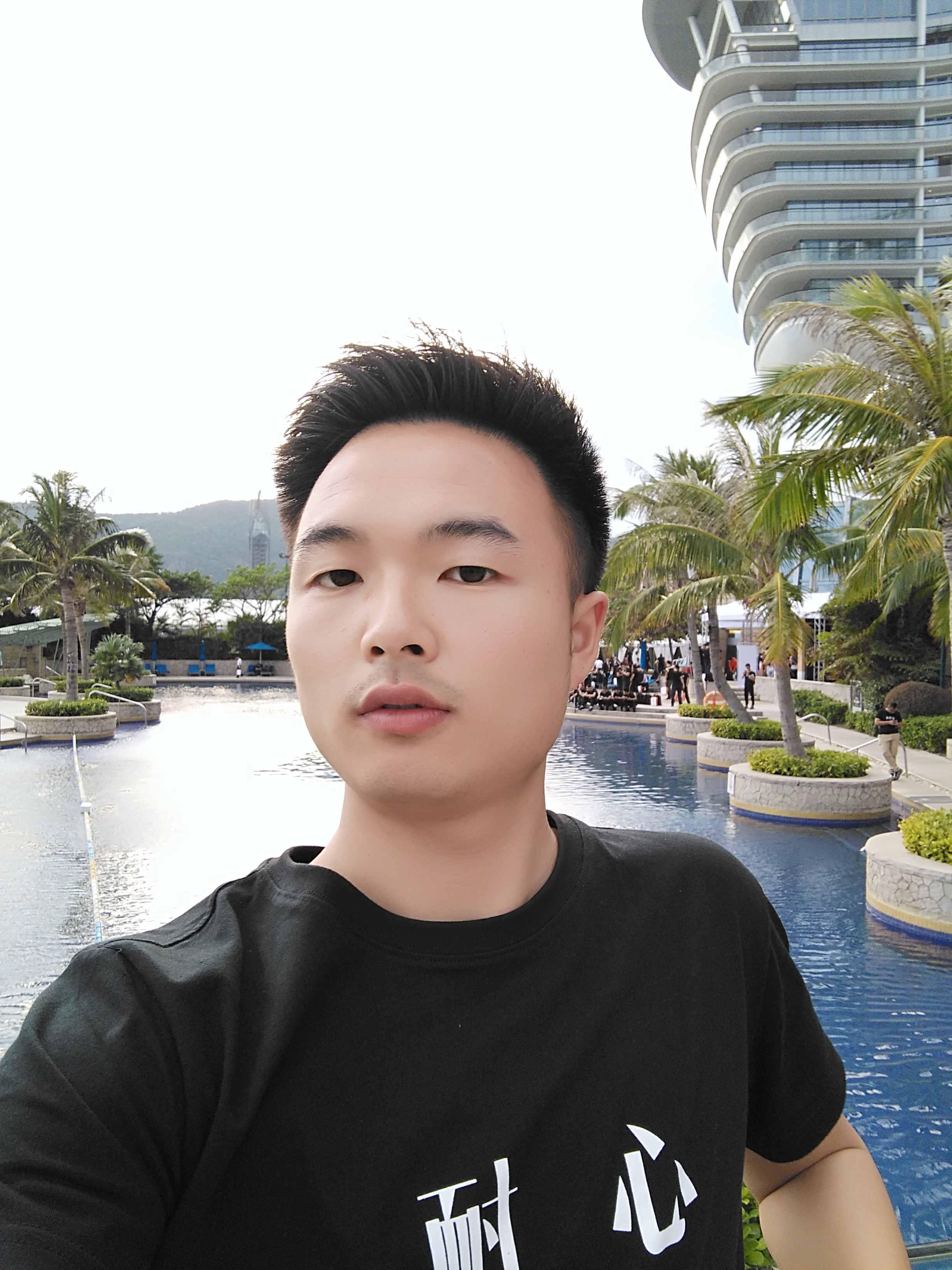 树的叶子的照片