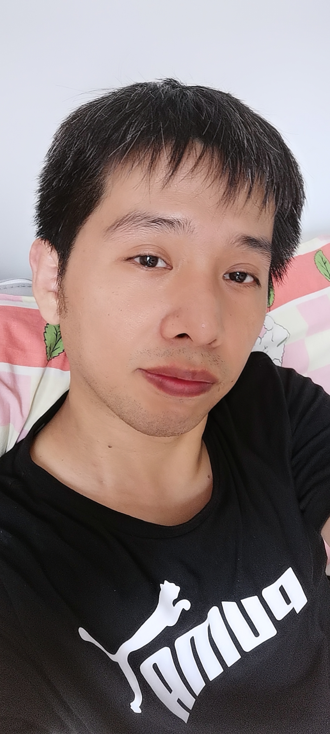 哈维安安的照片