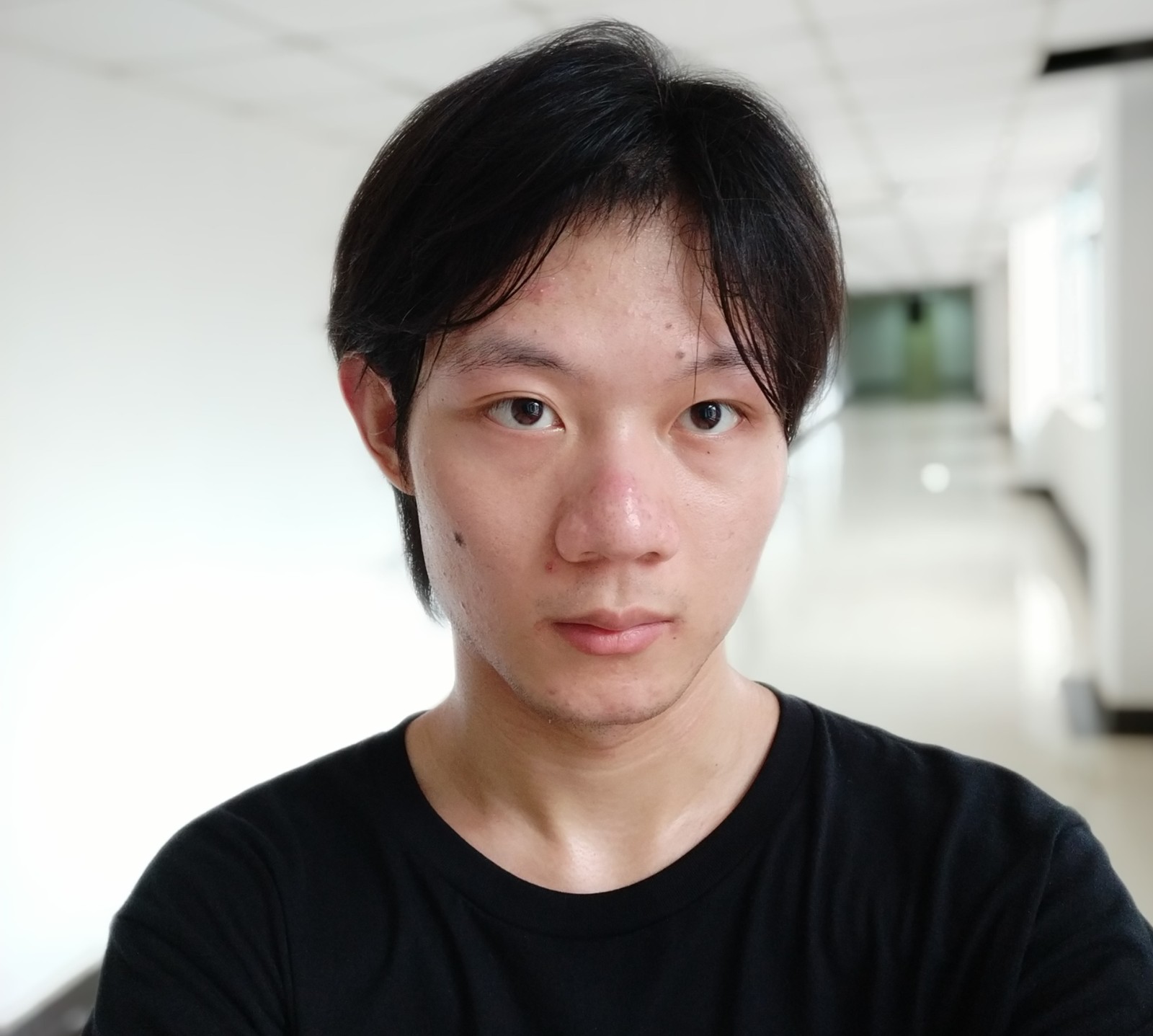佛罗伦萨小夜莺的照片