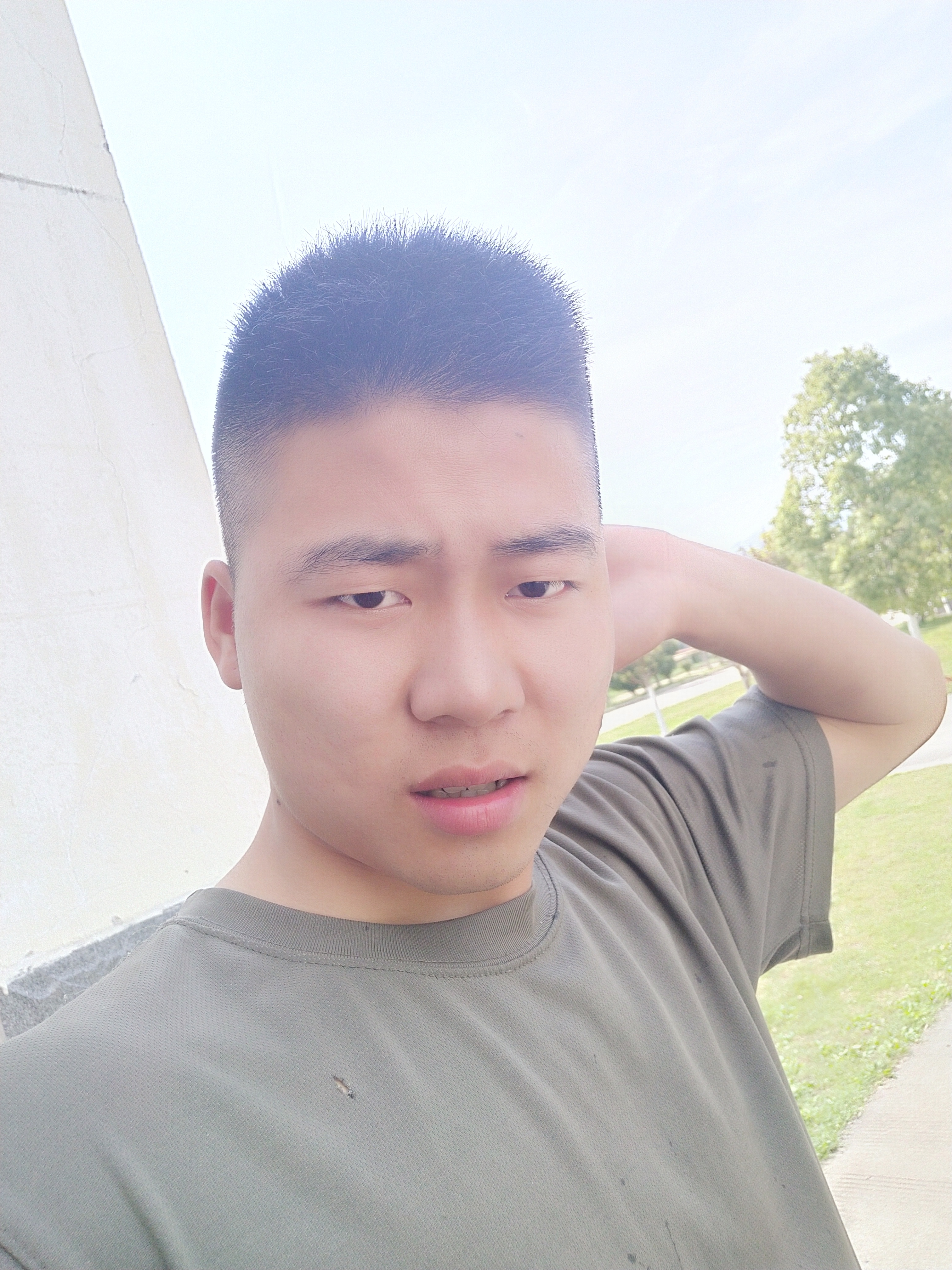 微风清抚的照片