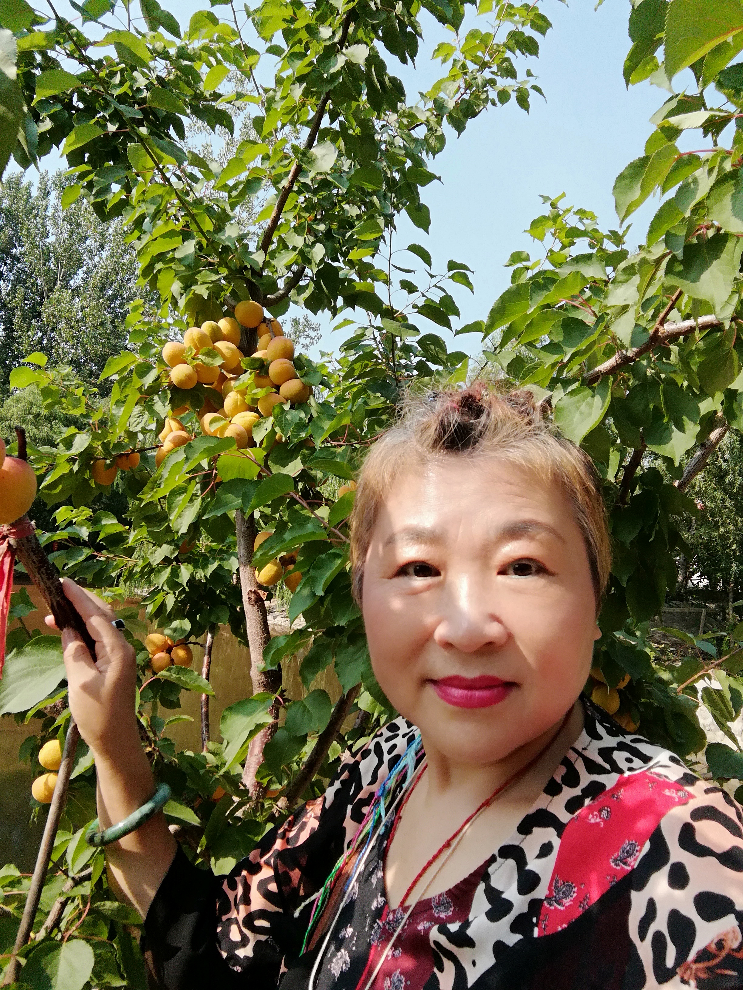 蜜生缘的照片