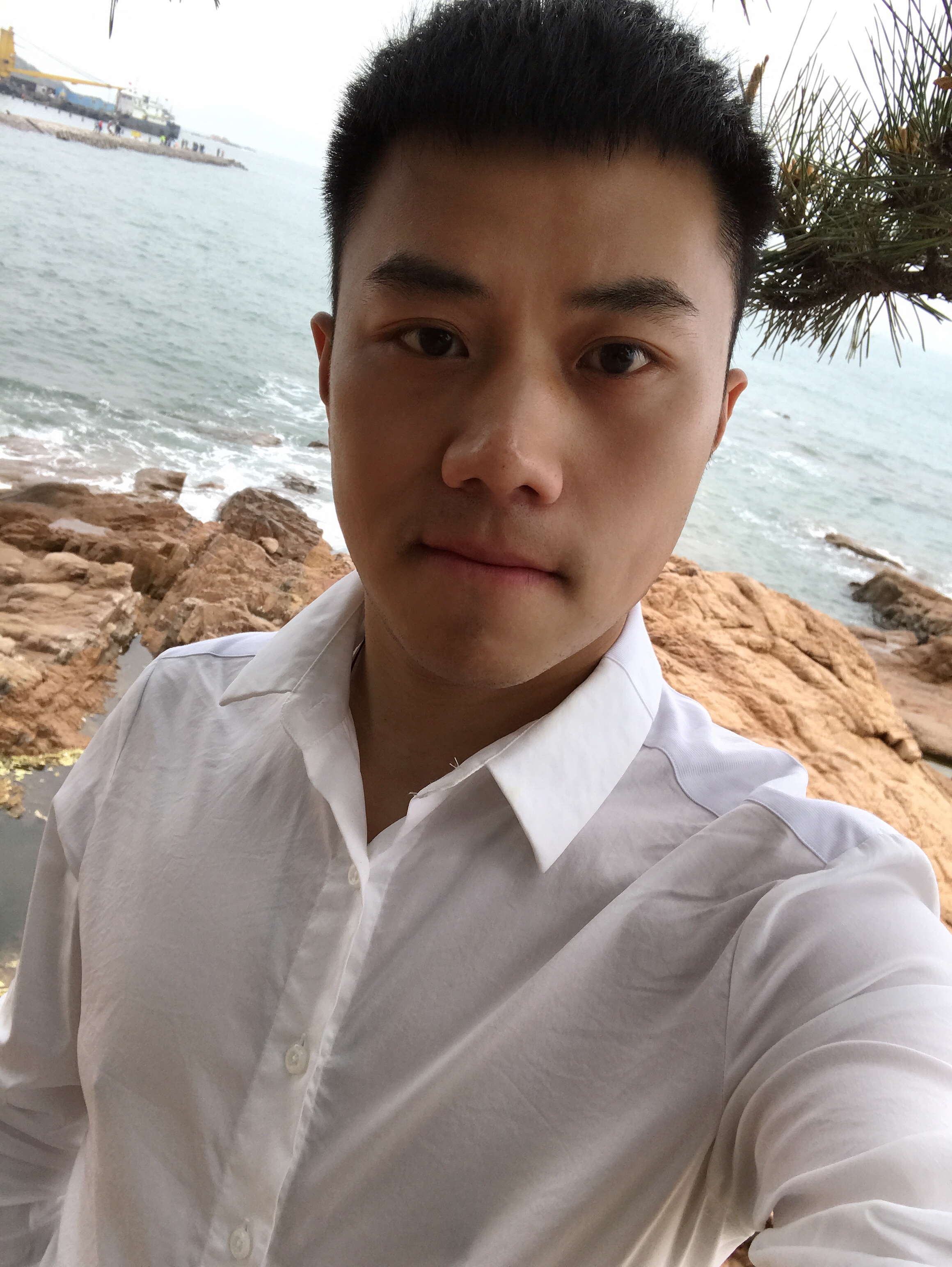 hellotry的照片