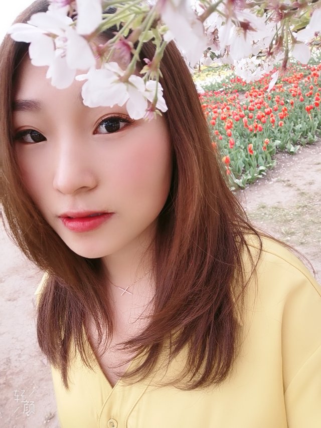 茉莉茉莉花花的照片