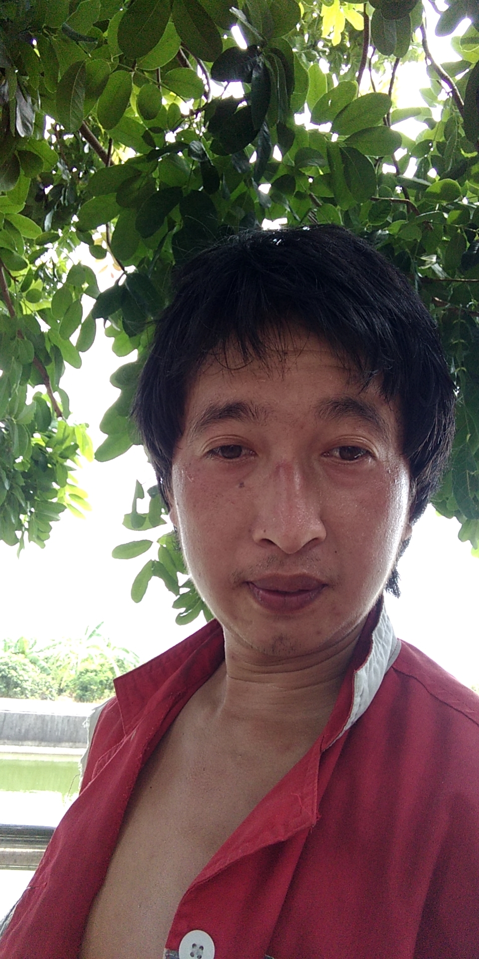 广州花都区的照片