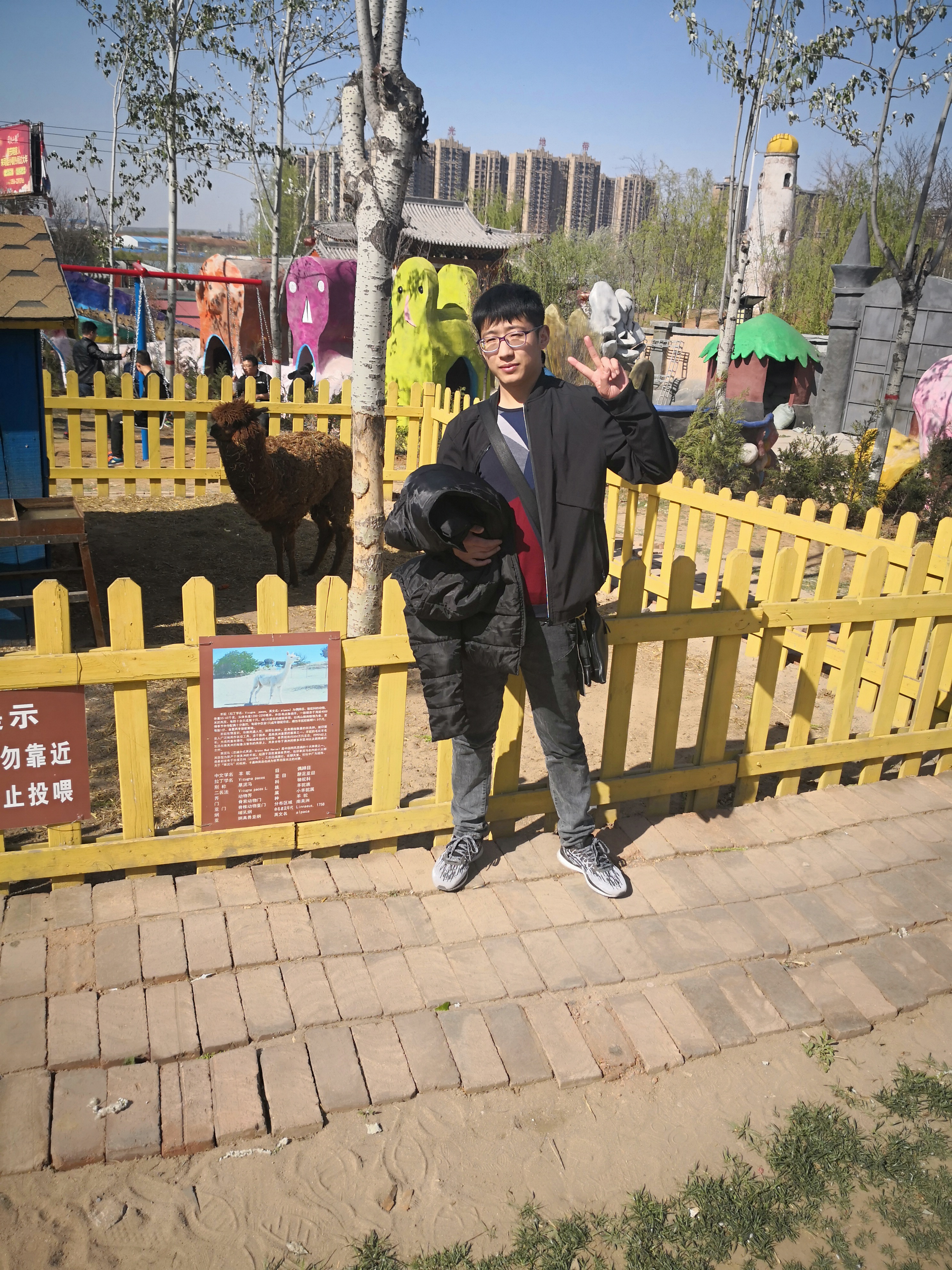 诺夏季的照片