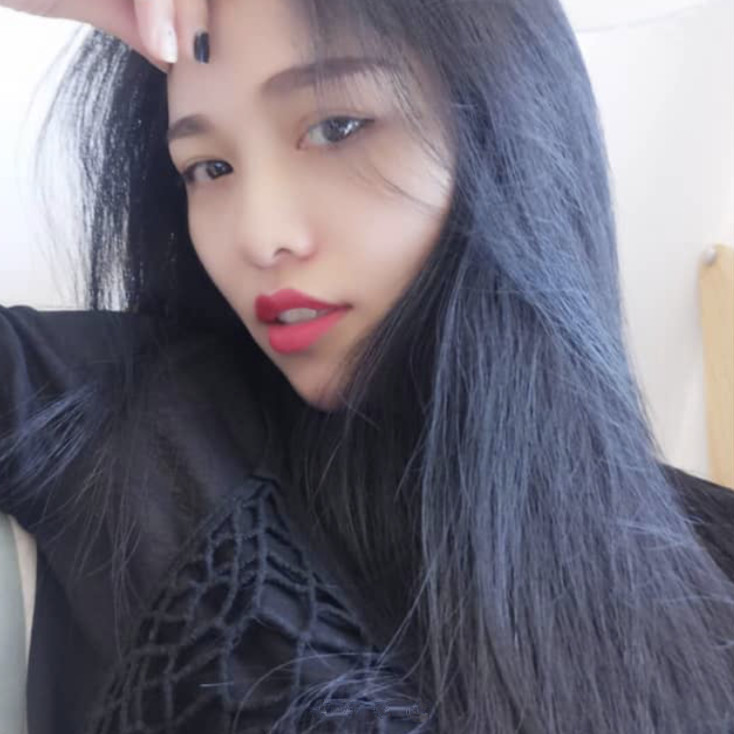 猫咪芒果树的照片