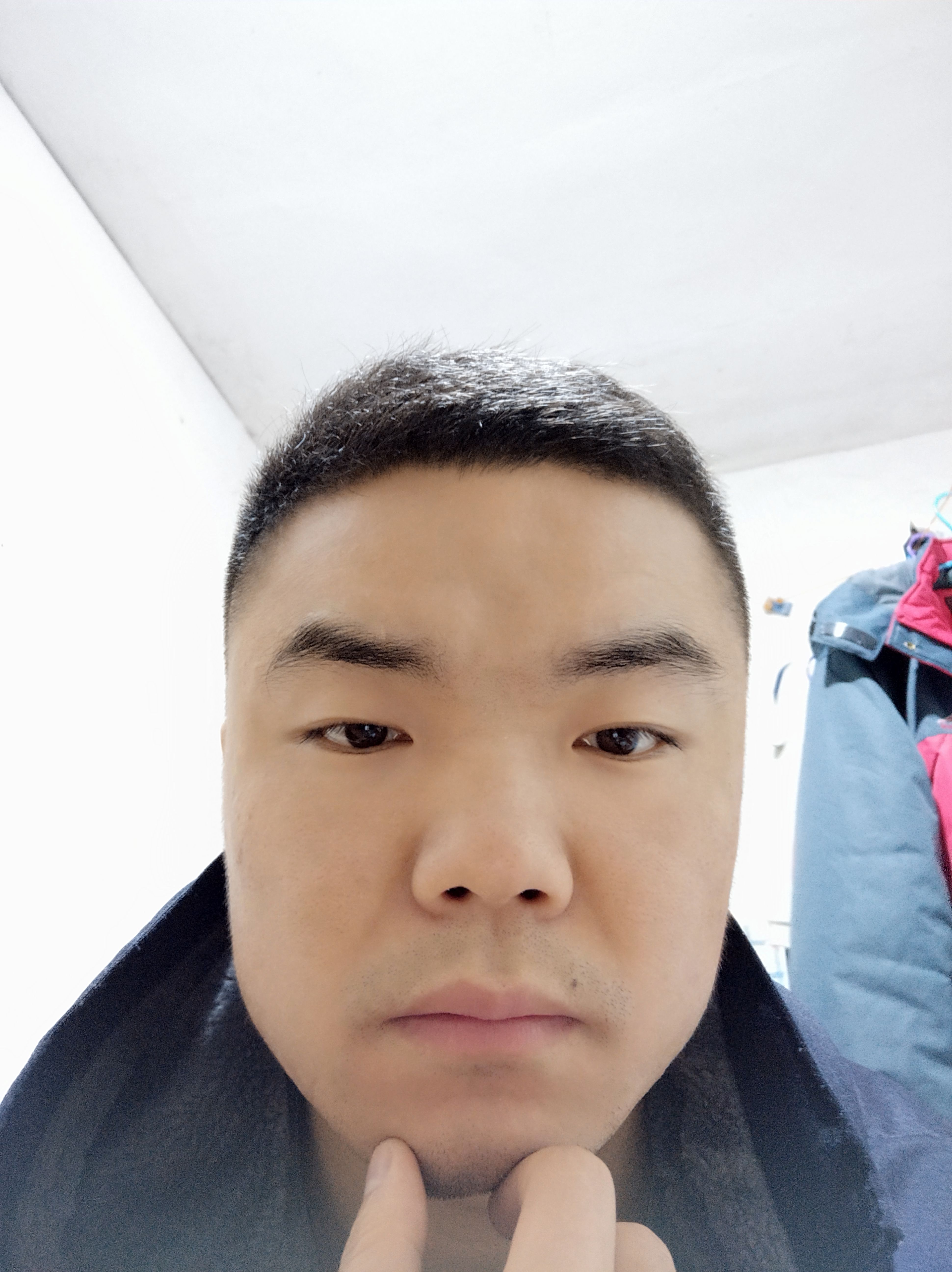 孤寂北极熊的照片