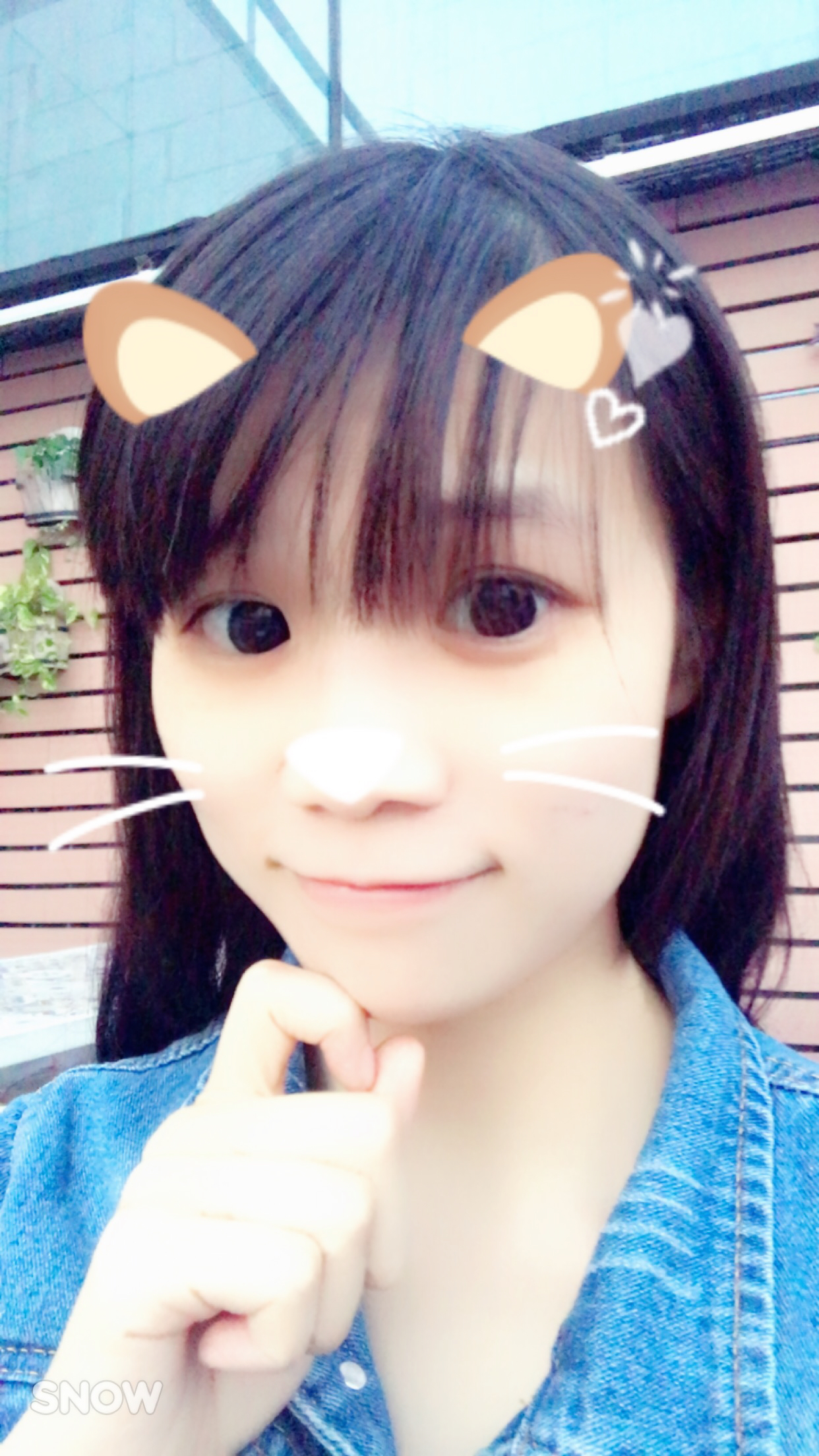 Slingp的照片