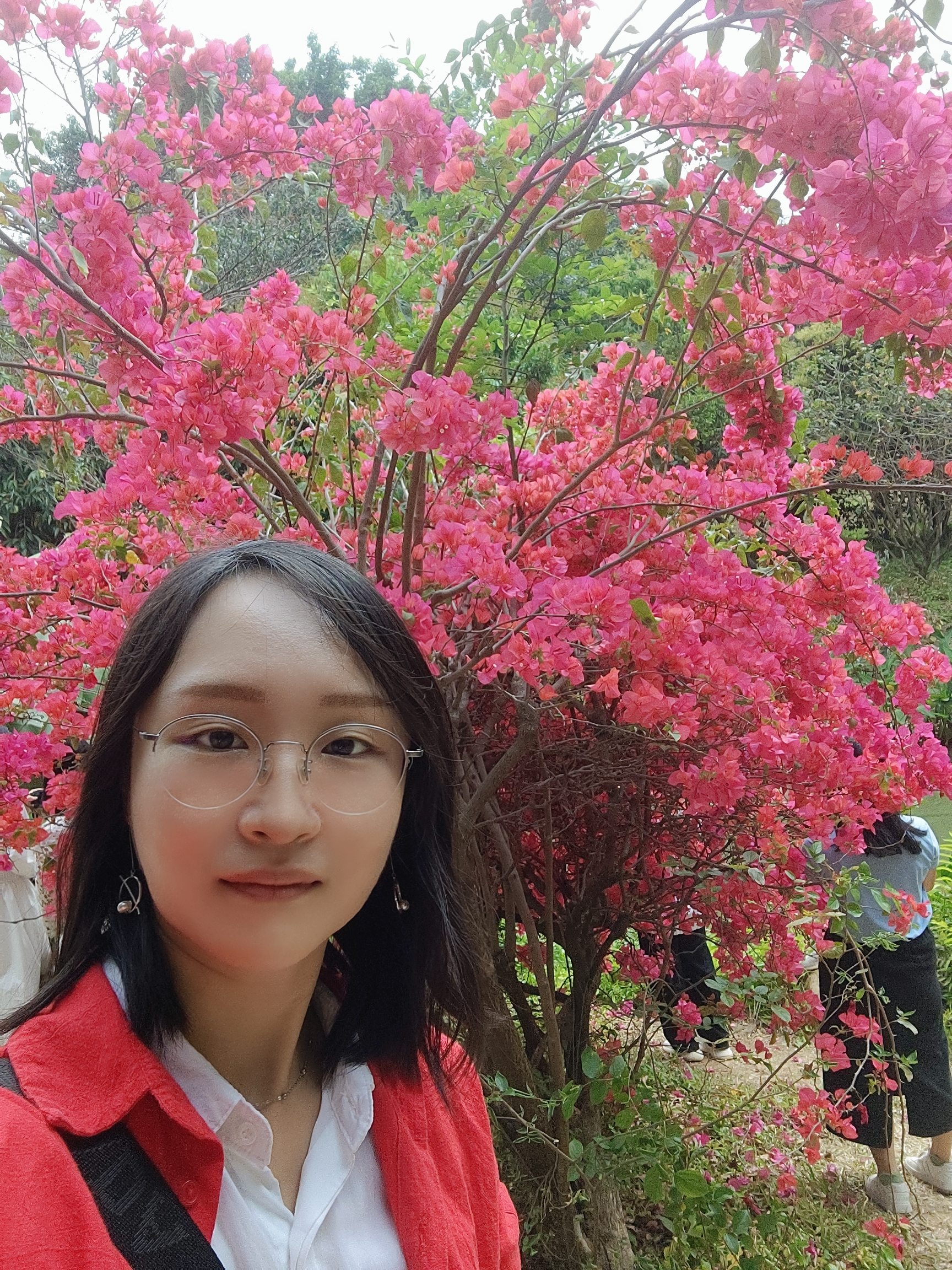 会员286385240的照片