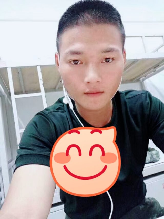 Instinct的照片