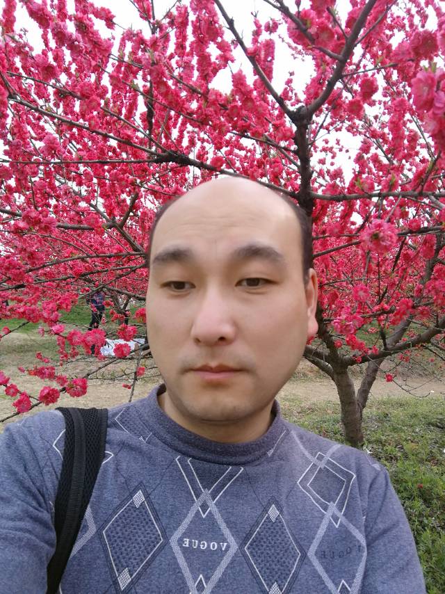MET421182的照片