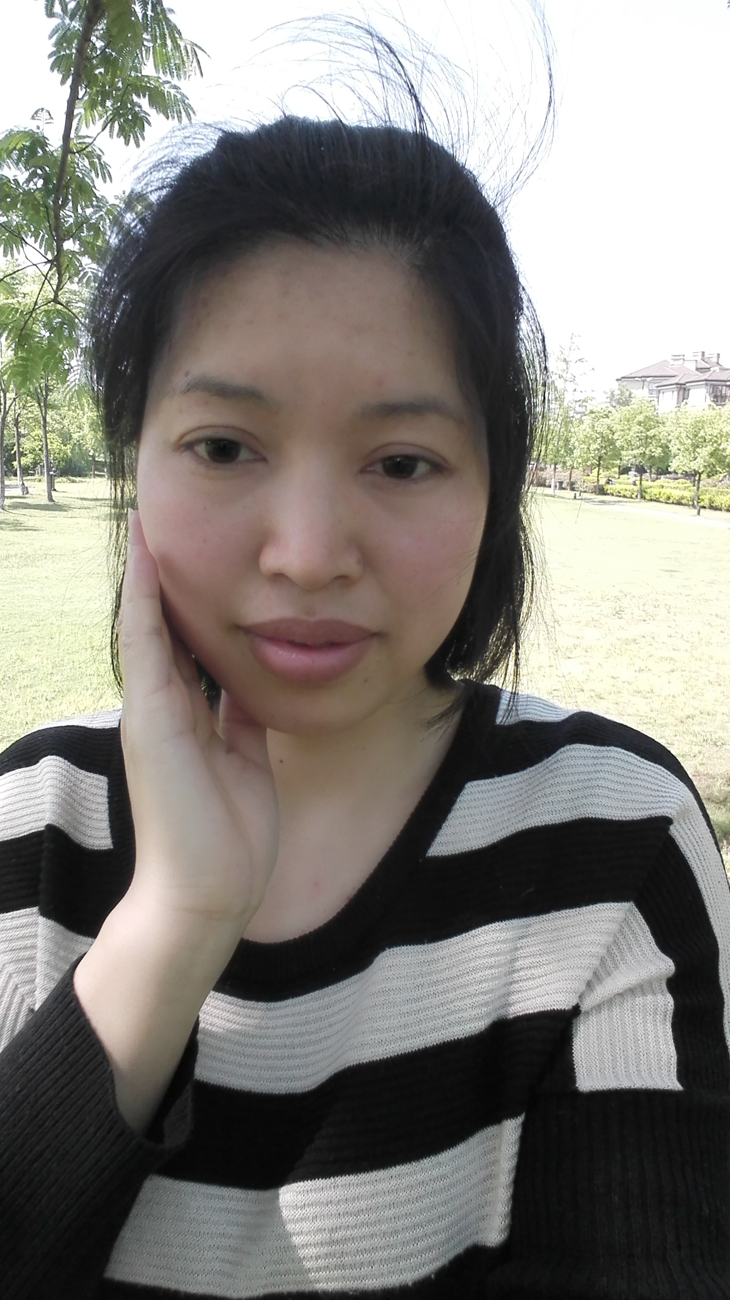 漂来一片叶的照片