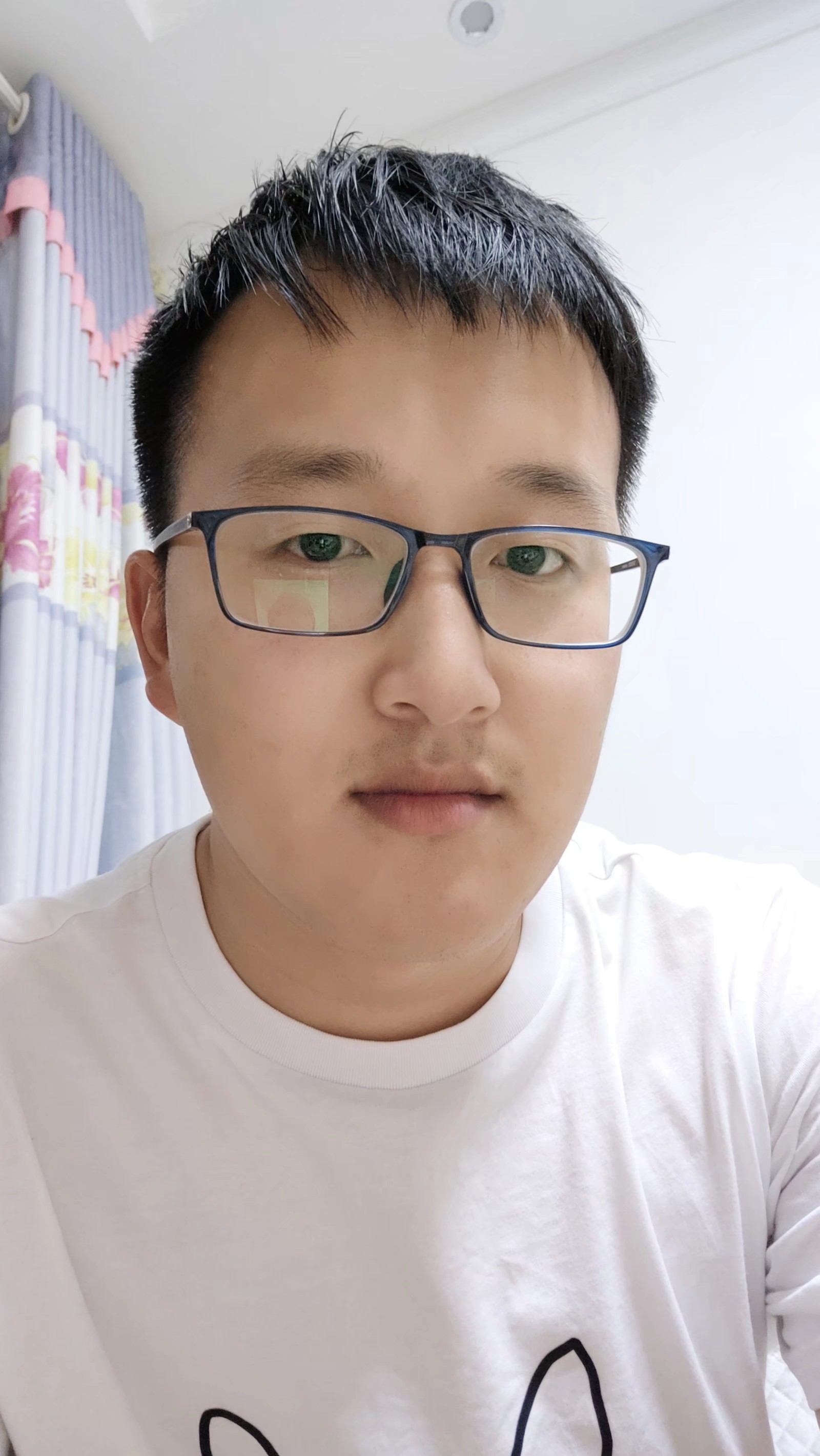 绒绒熊的照片
