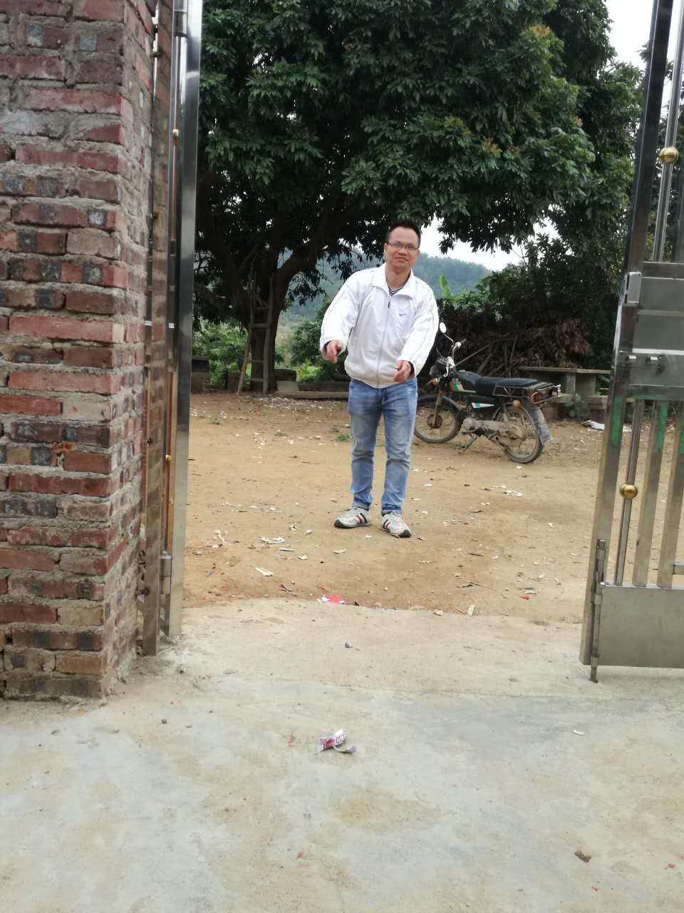 孤单长伴的照片