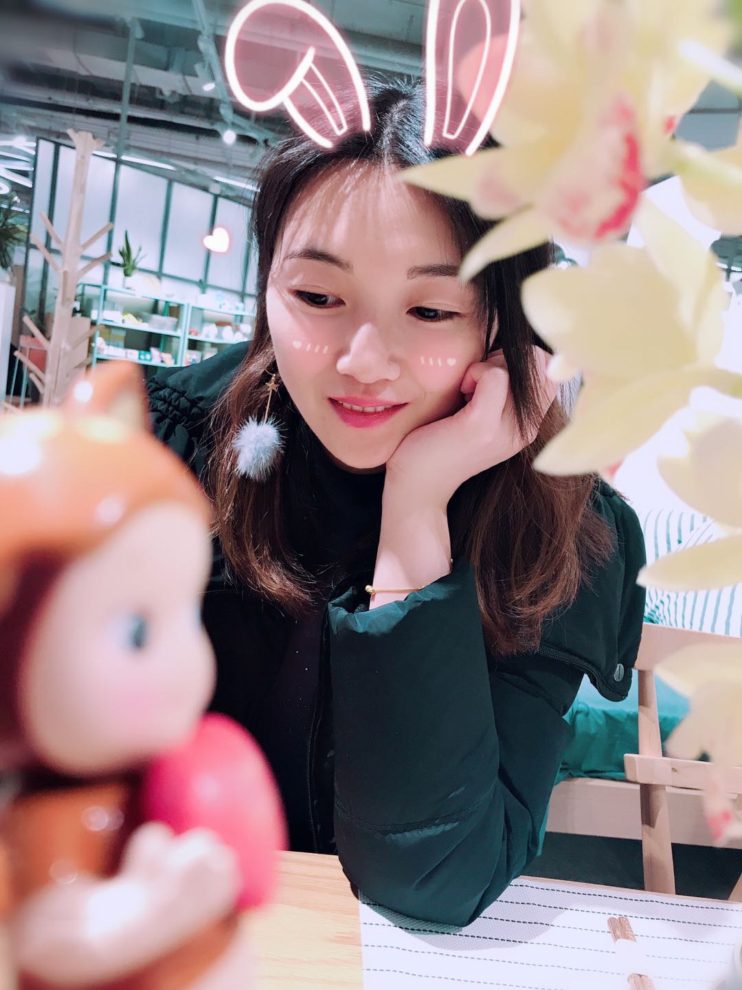 豹纹小兔子的照片