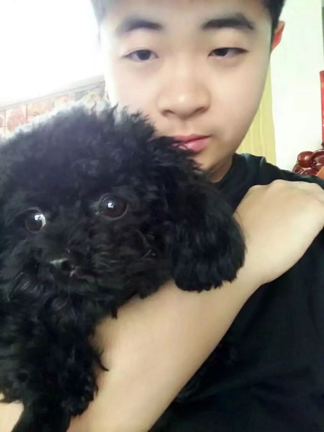 会员823966055的照片