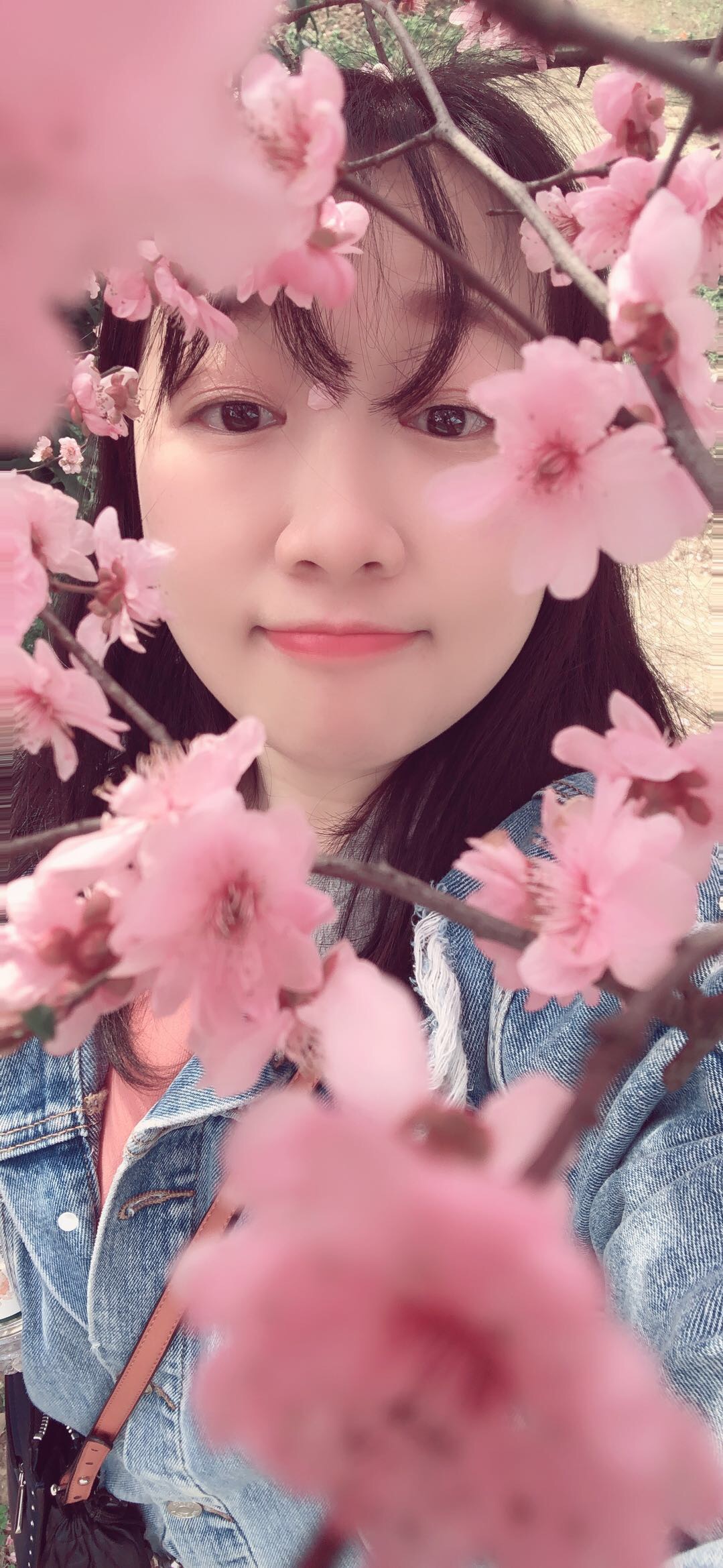 会员617720420的照片