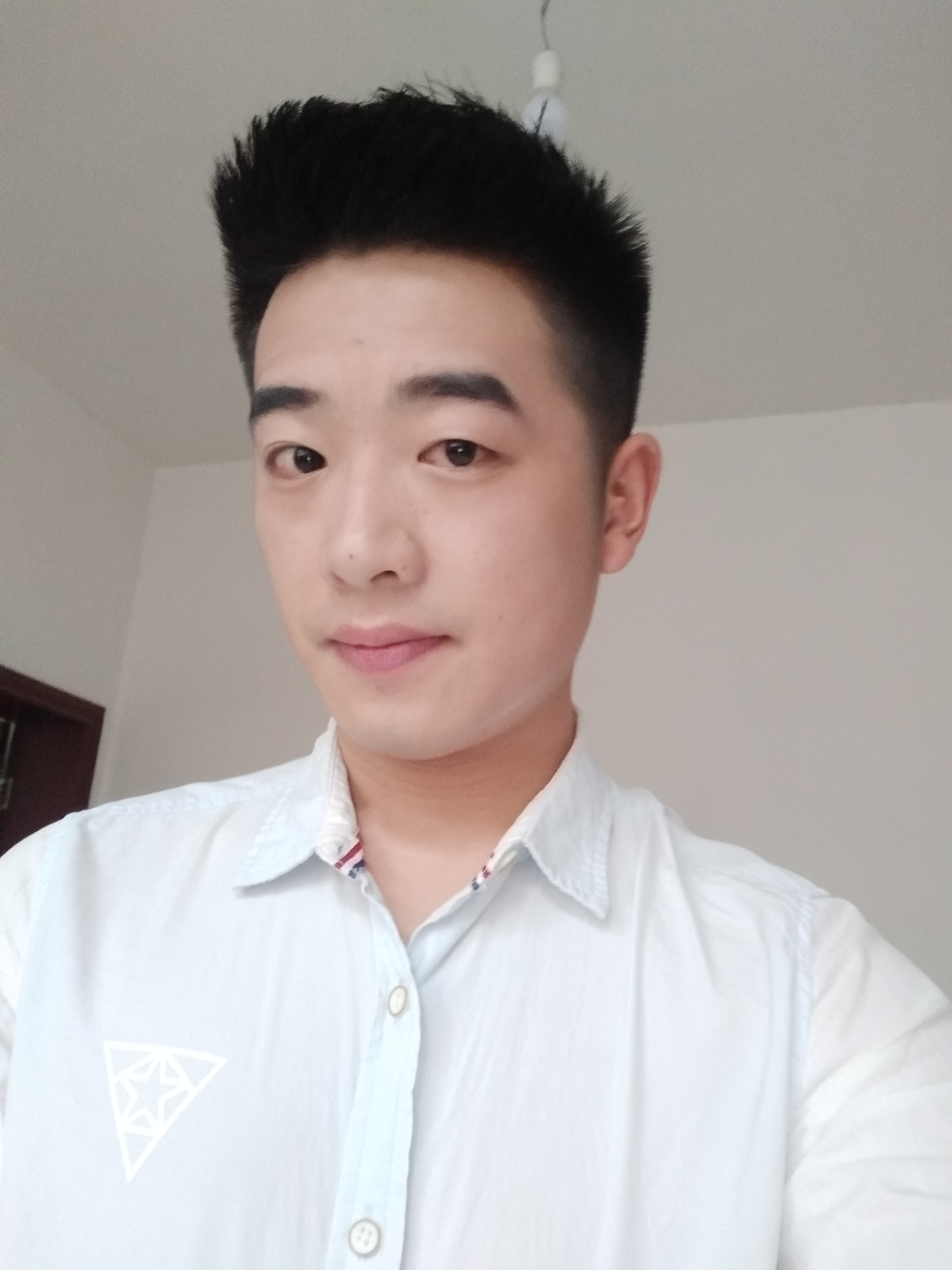 会飞飞的小强的照片