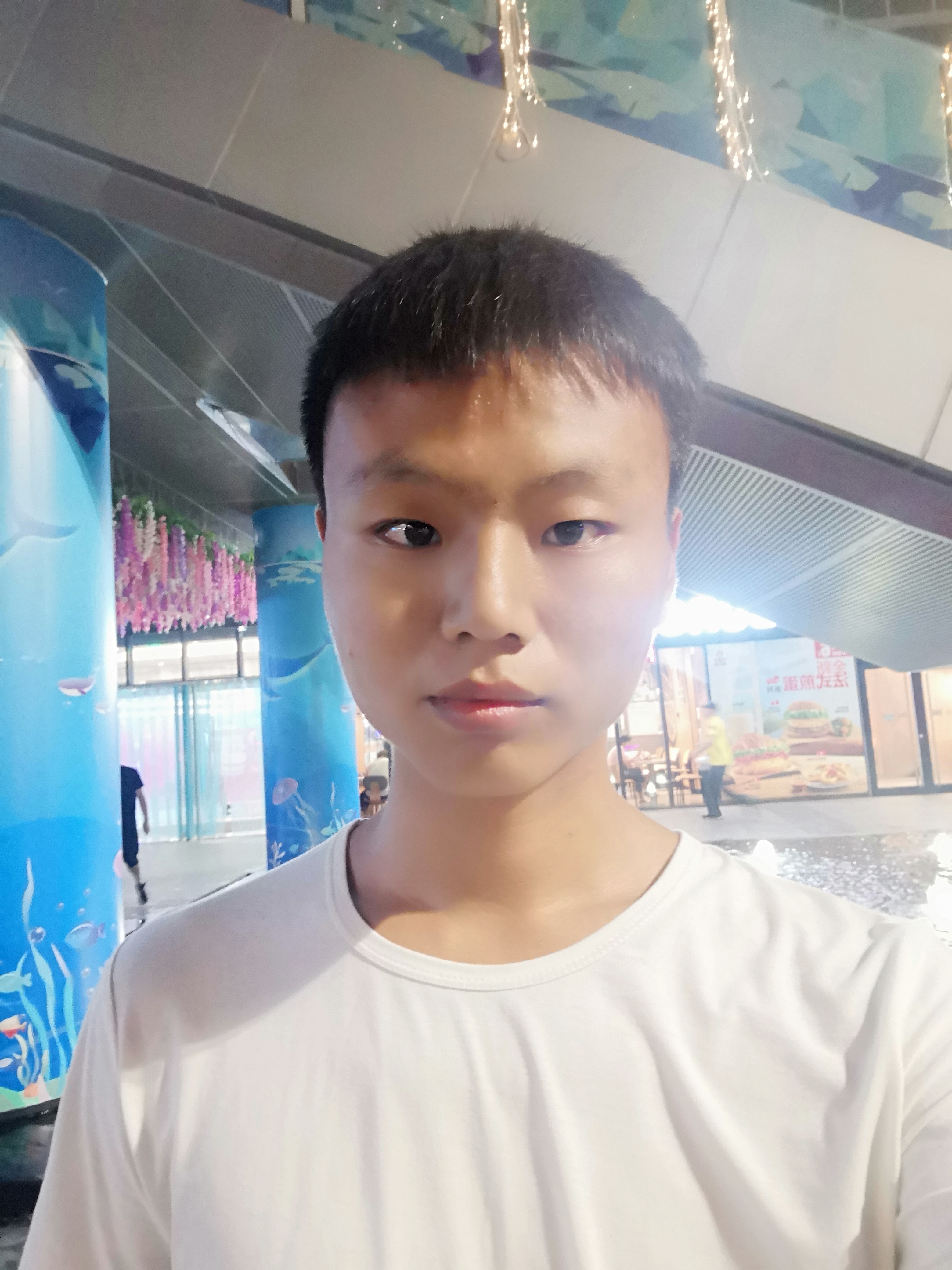 小金鱼001的照片