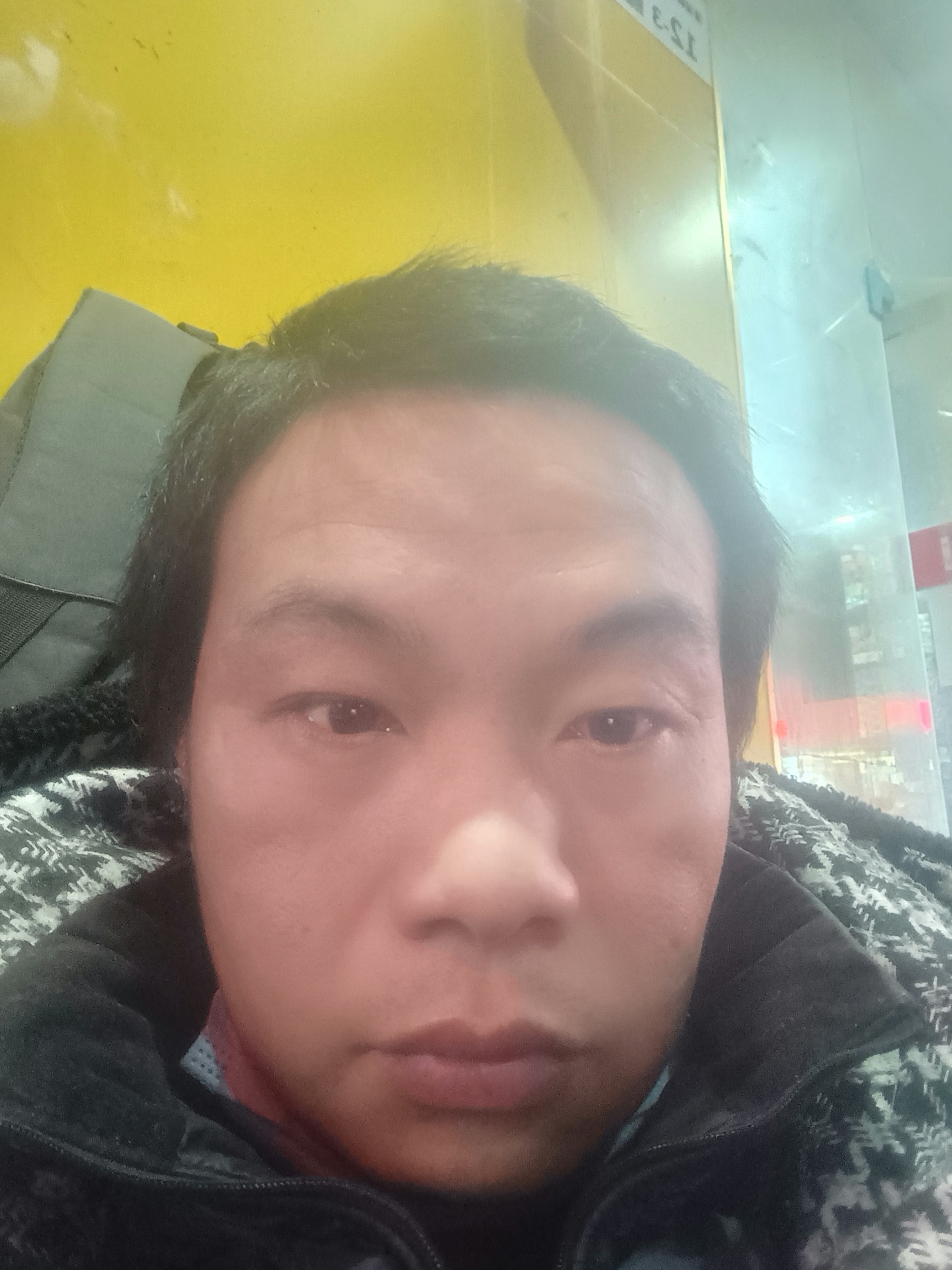 小网蝌蚪的照片