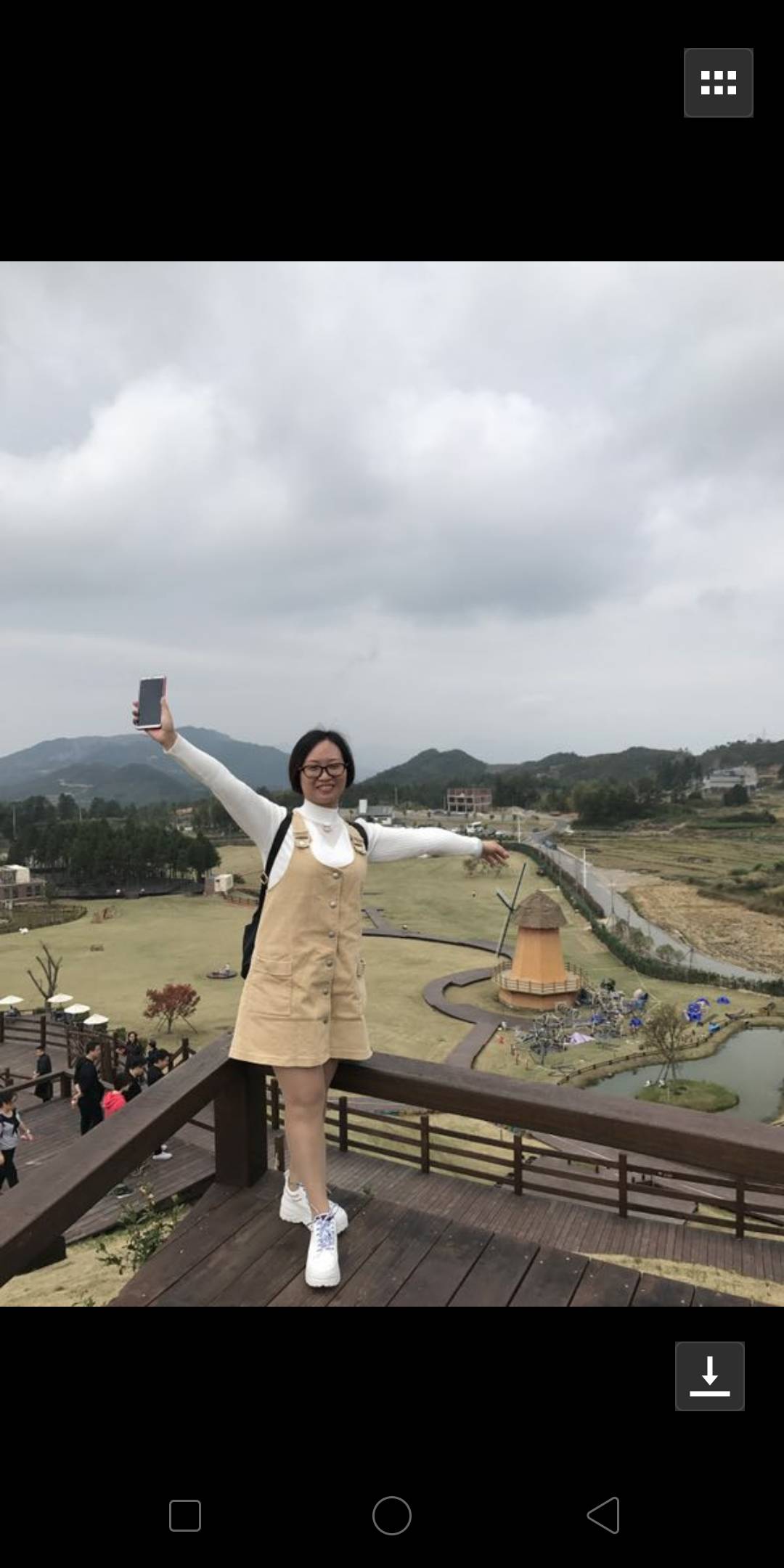 盛开的百合的照片