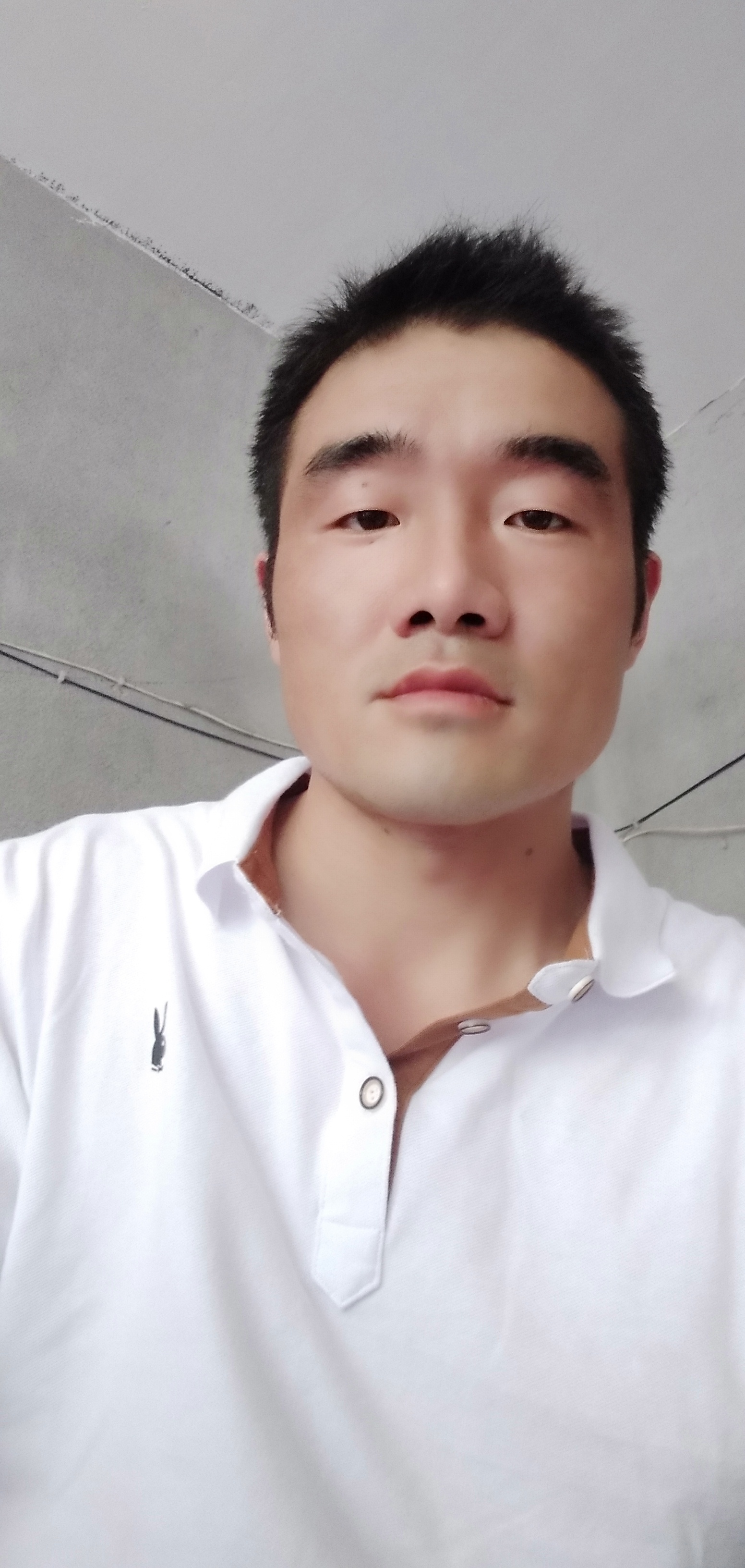 王贤军的照片