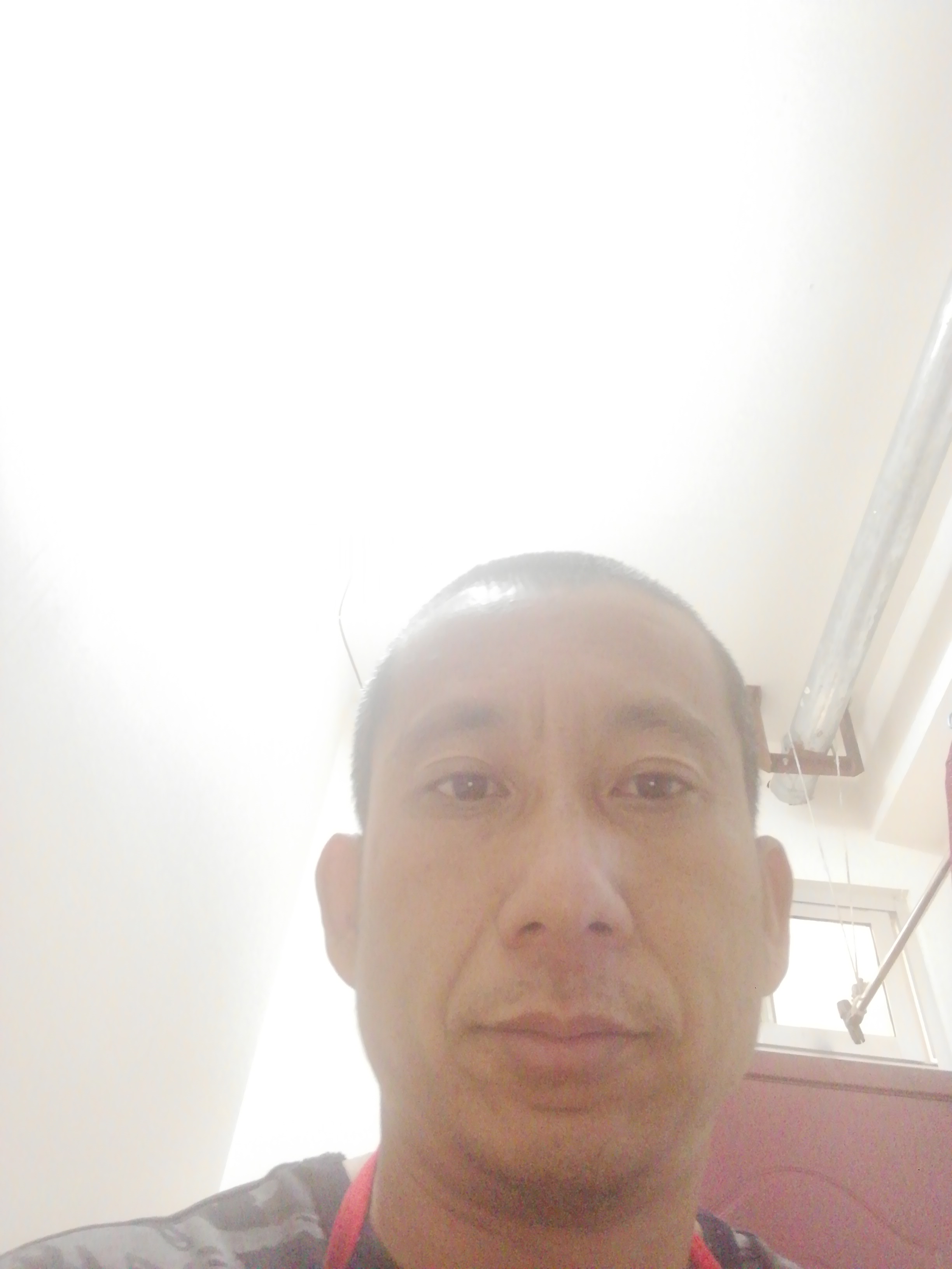 王学杨的照片