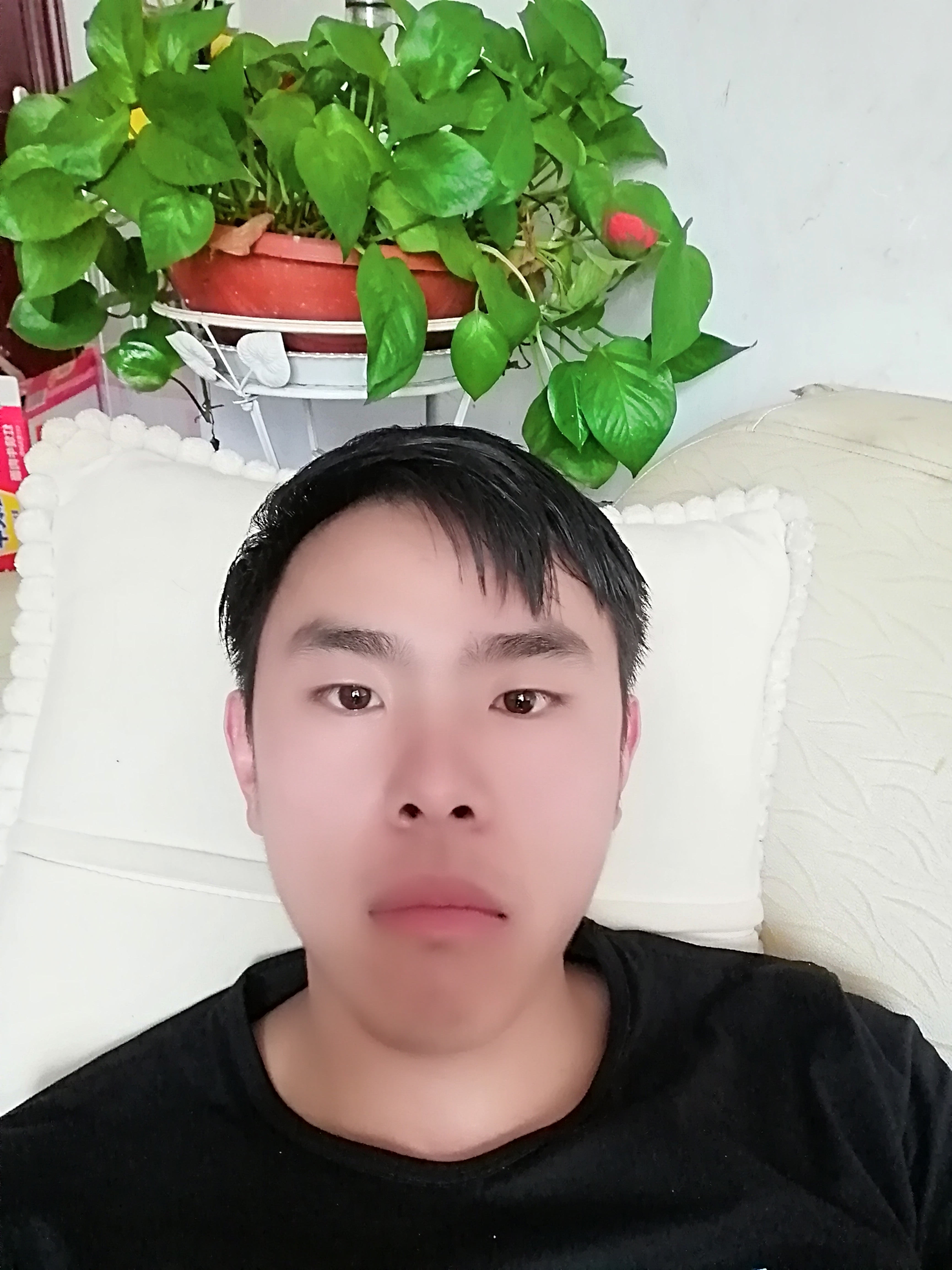 缘分余逢贵的照片