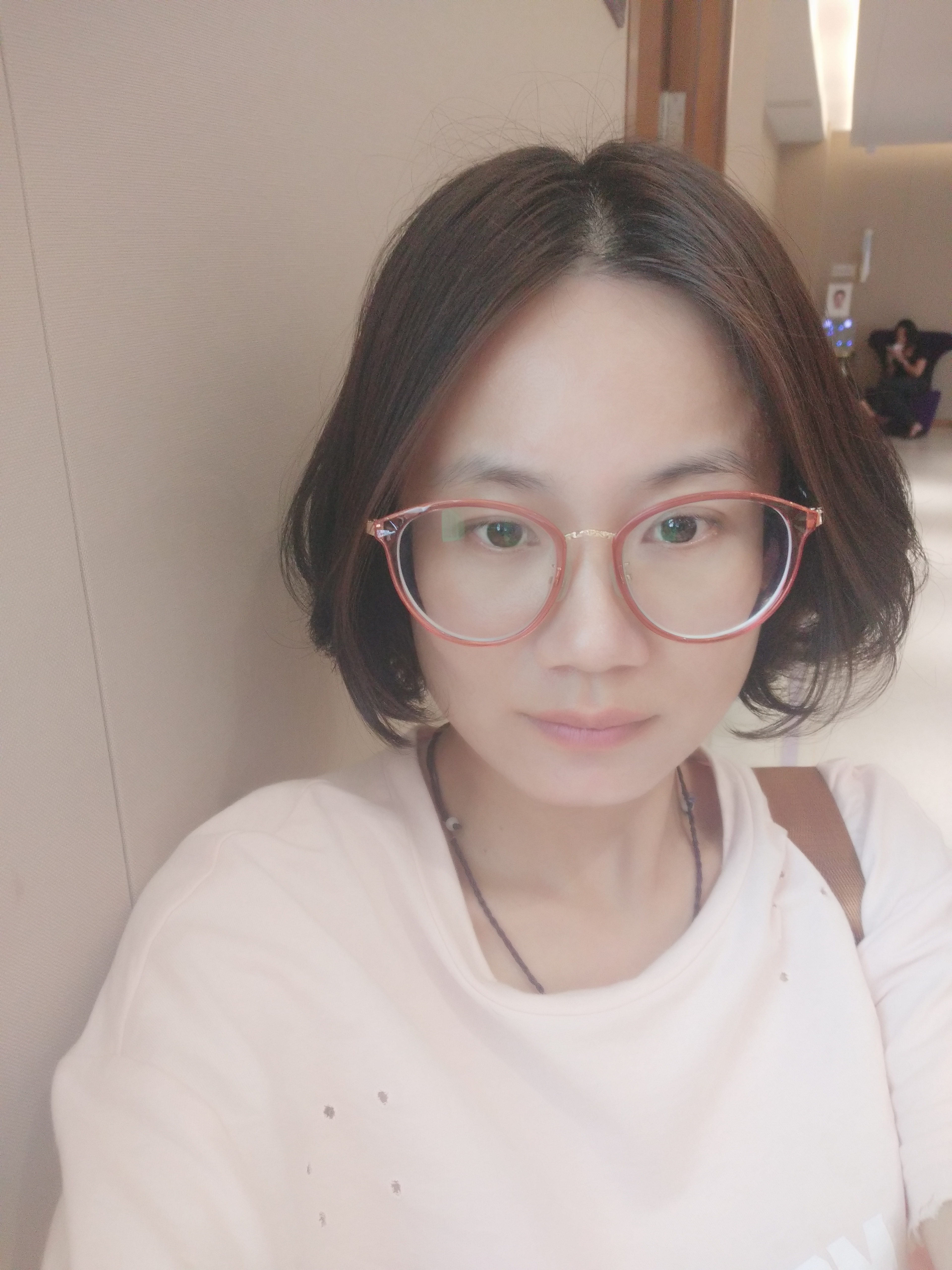 竹林与石头的照片