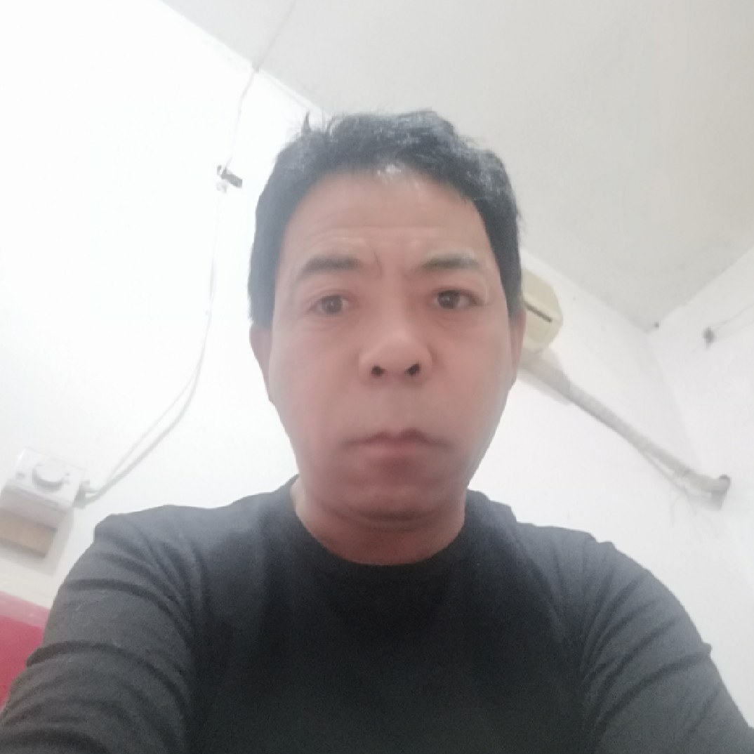 凤中的影子的照片