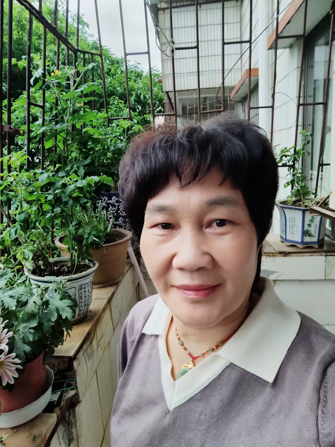 晓燕子的照片