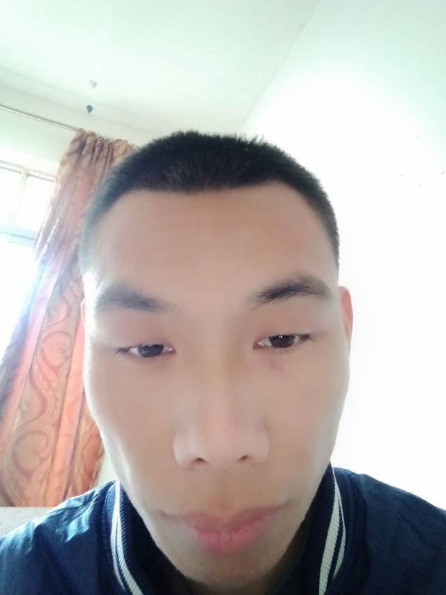 园里的房子的照片