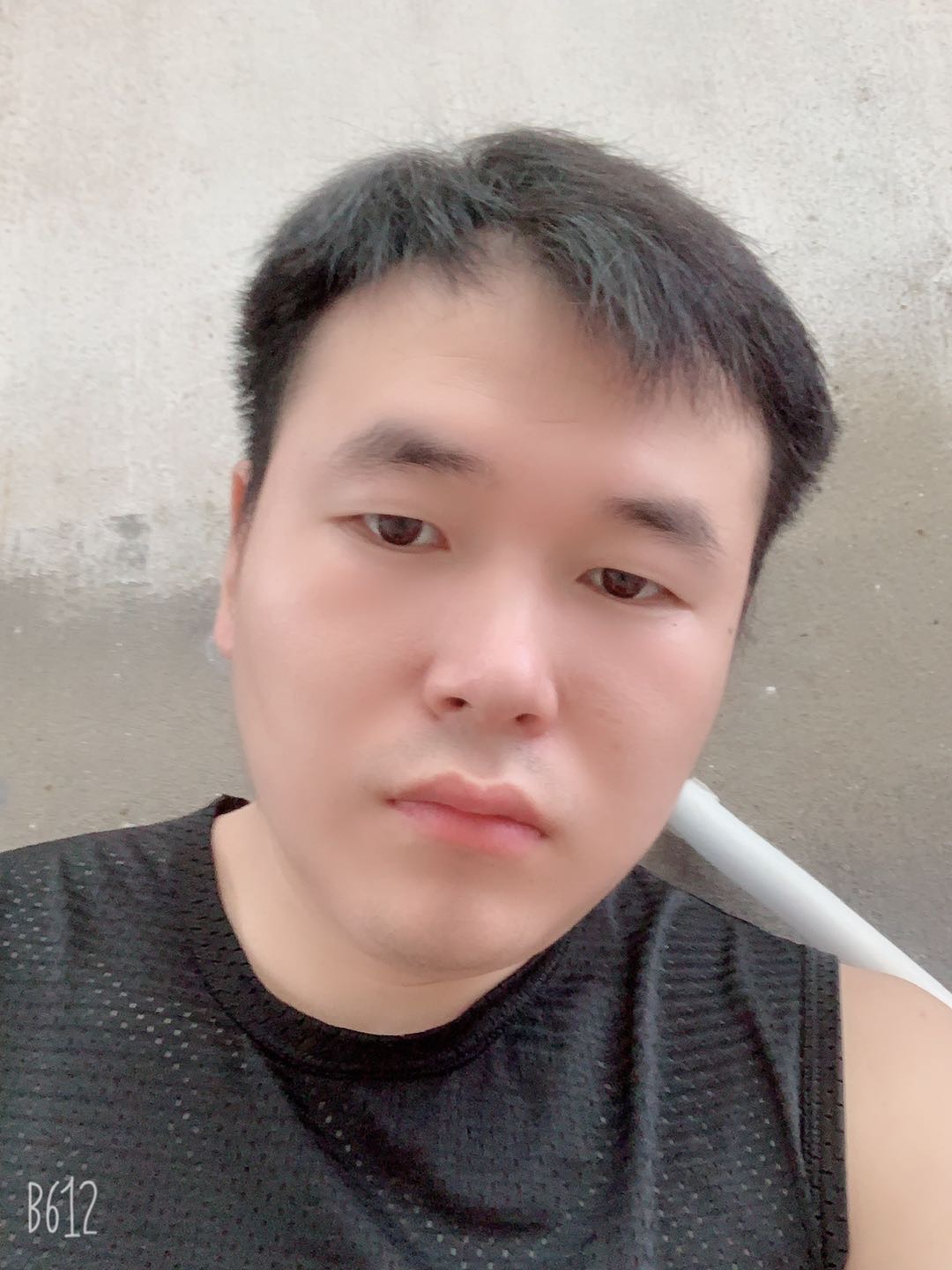 我的春天啥时候来的照片