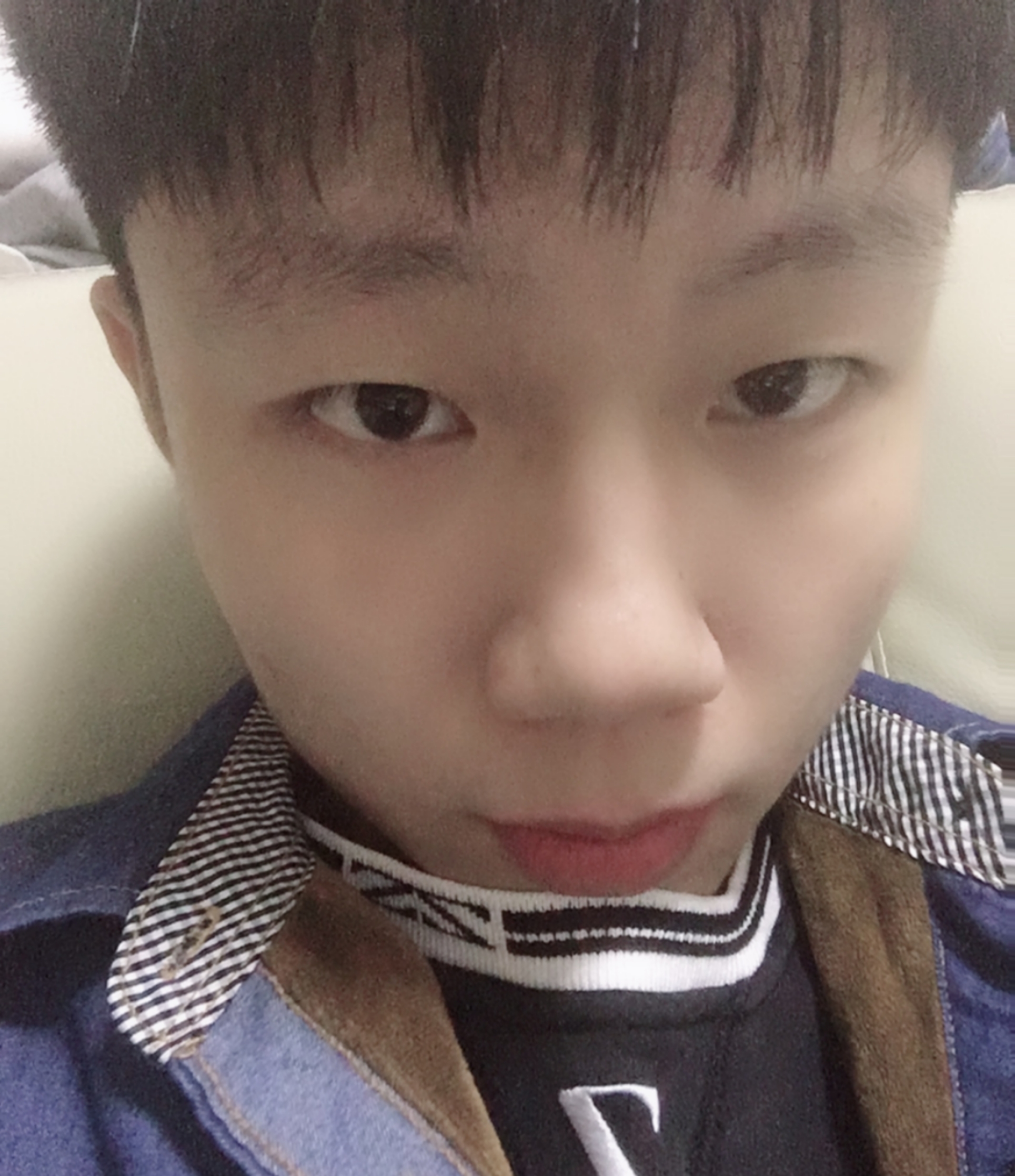 糟糕爱糖豆的照片