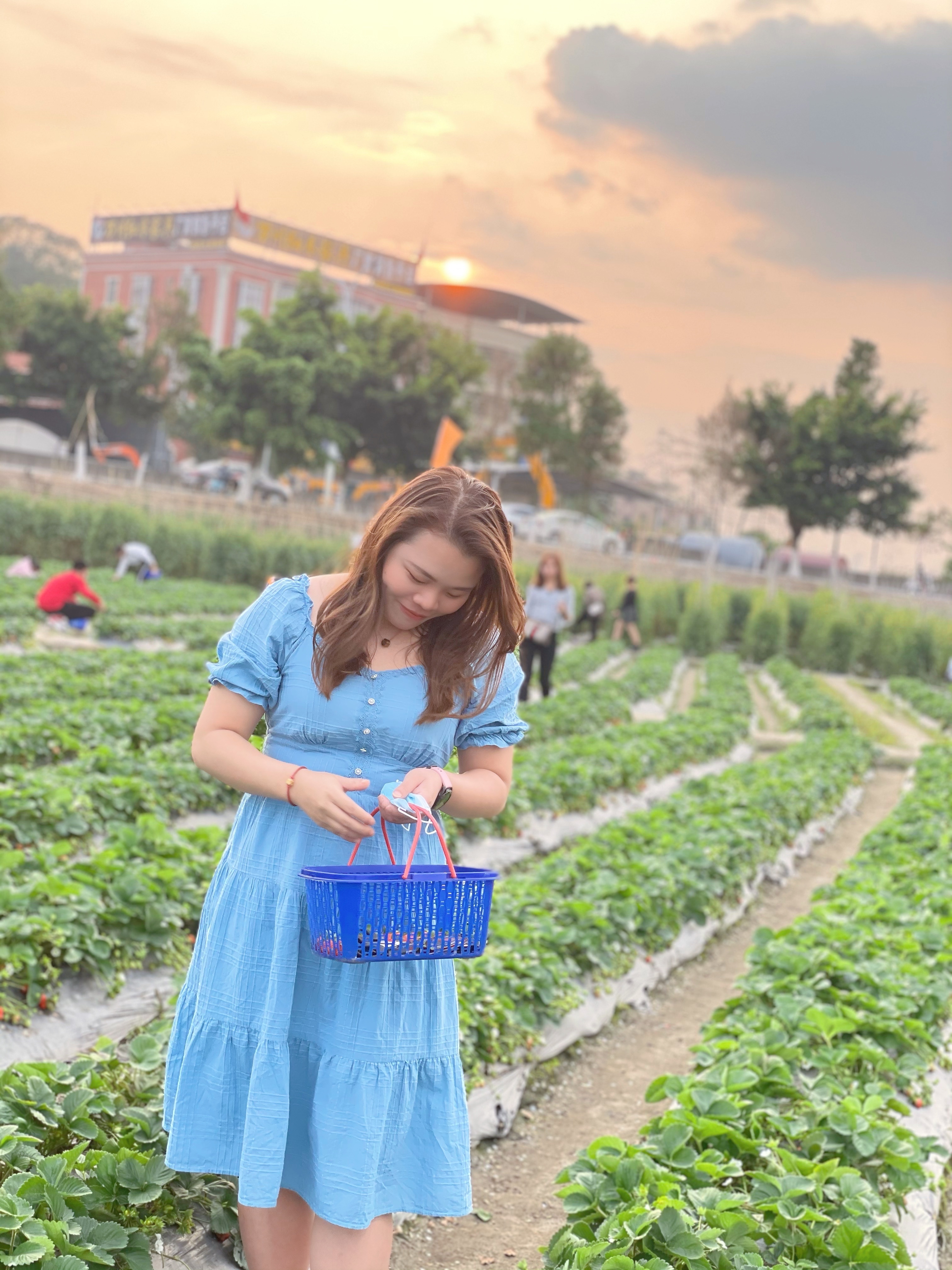 会员584683785的照片