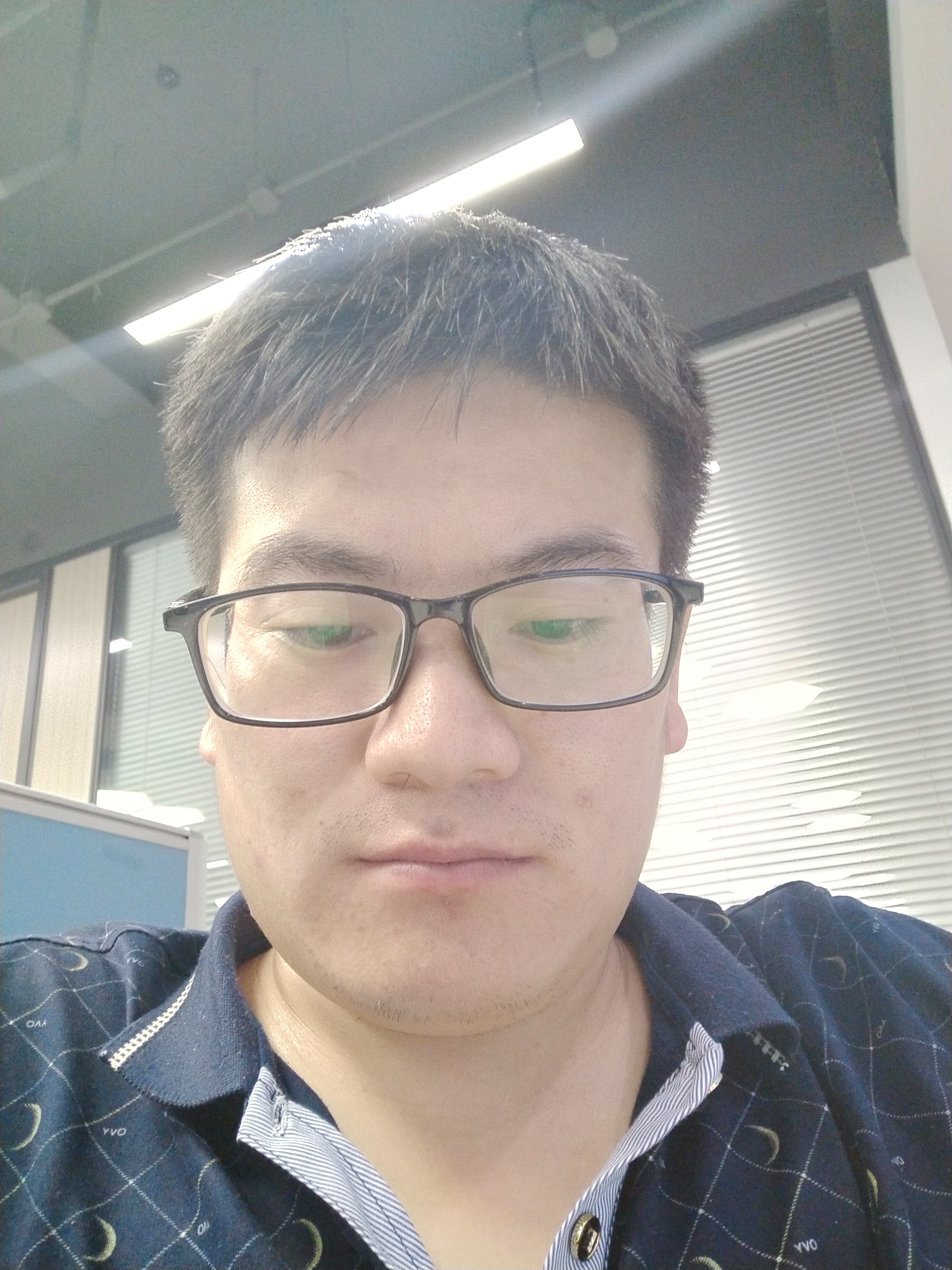 左象的照片