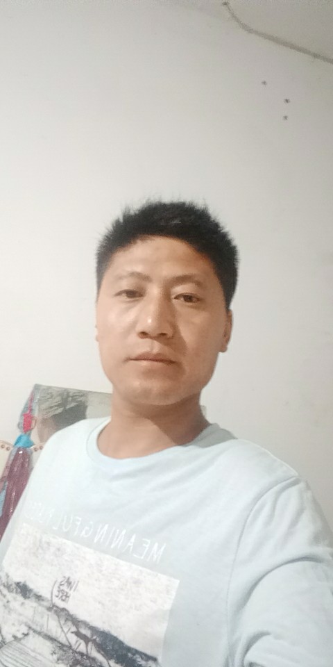 我去好名字被狗取的照片