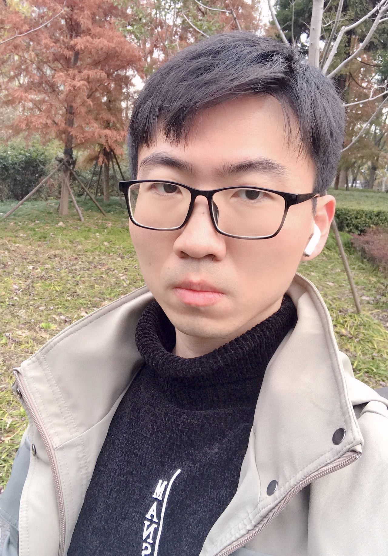 古堡树的照片