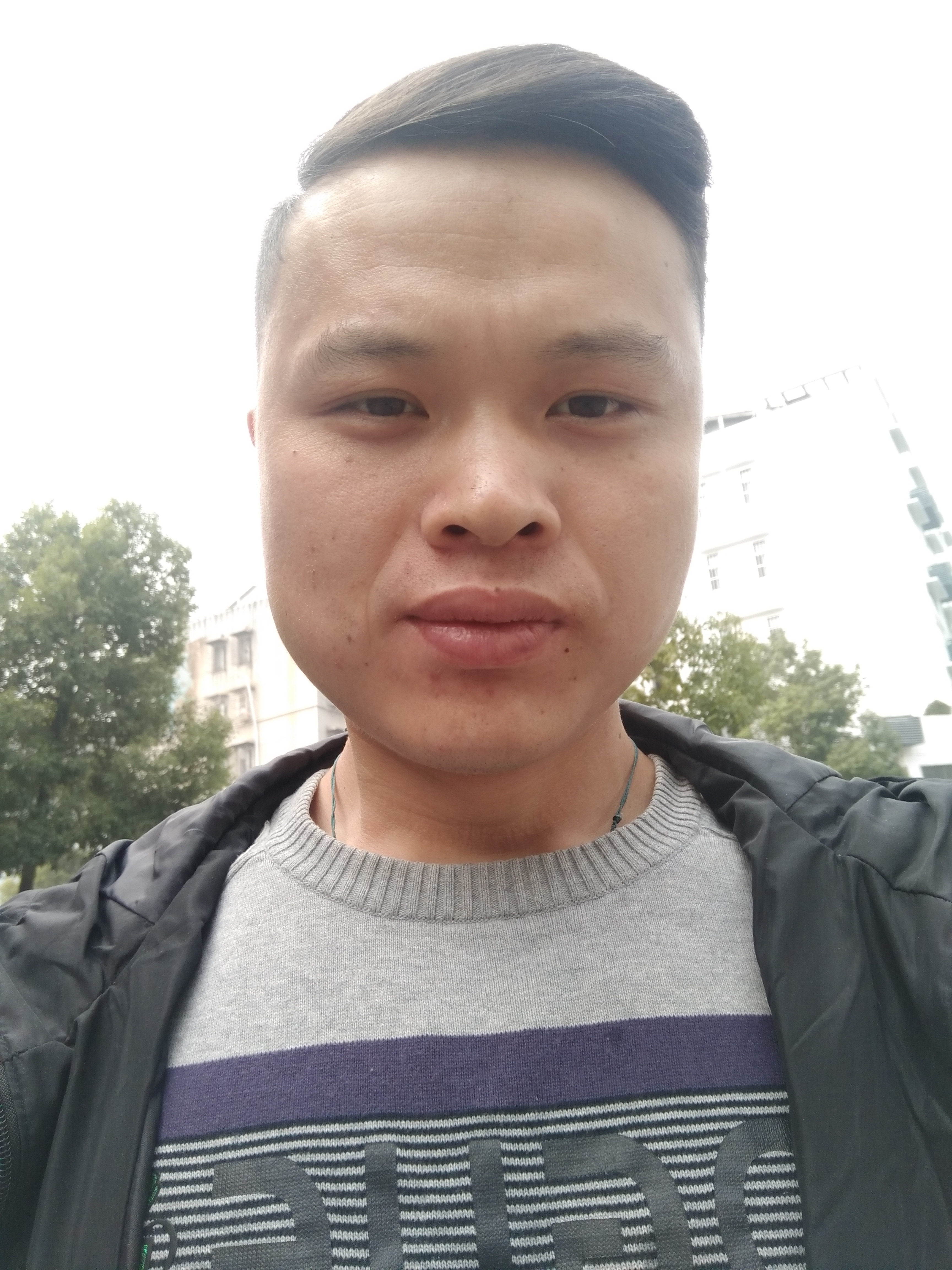 禁心尽力的照片