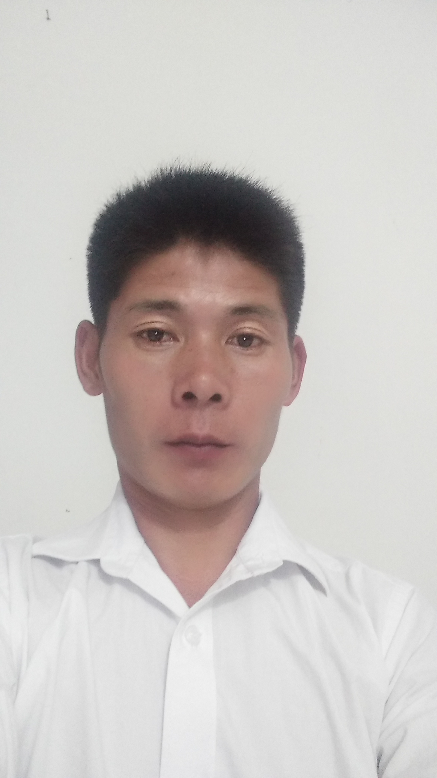 晓晨...的照片