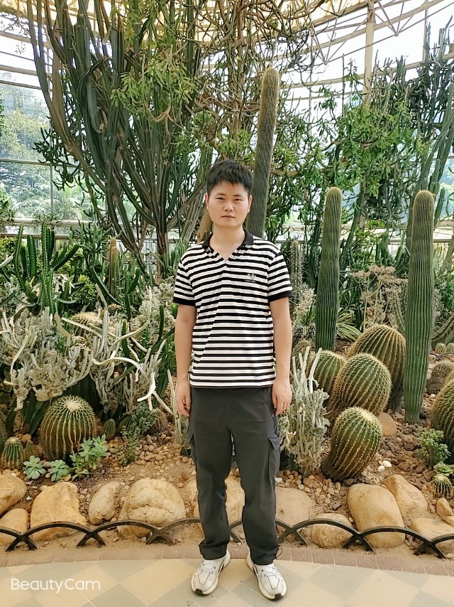 会员376056298的照片