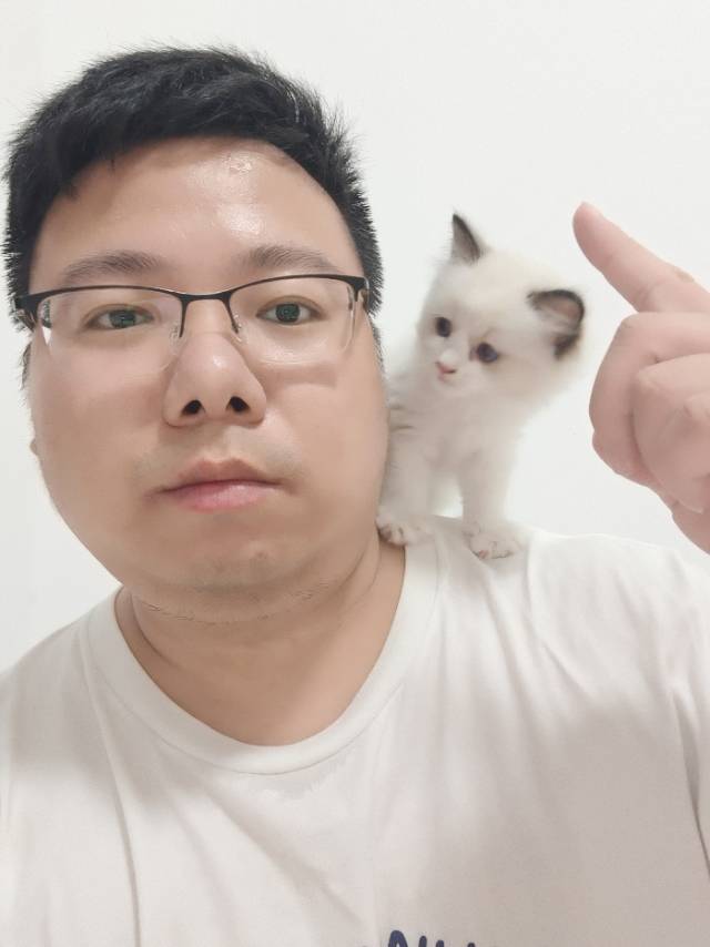 冰焰炽心的照片