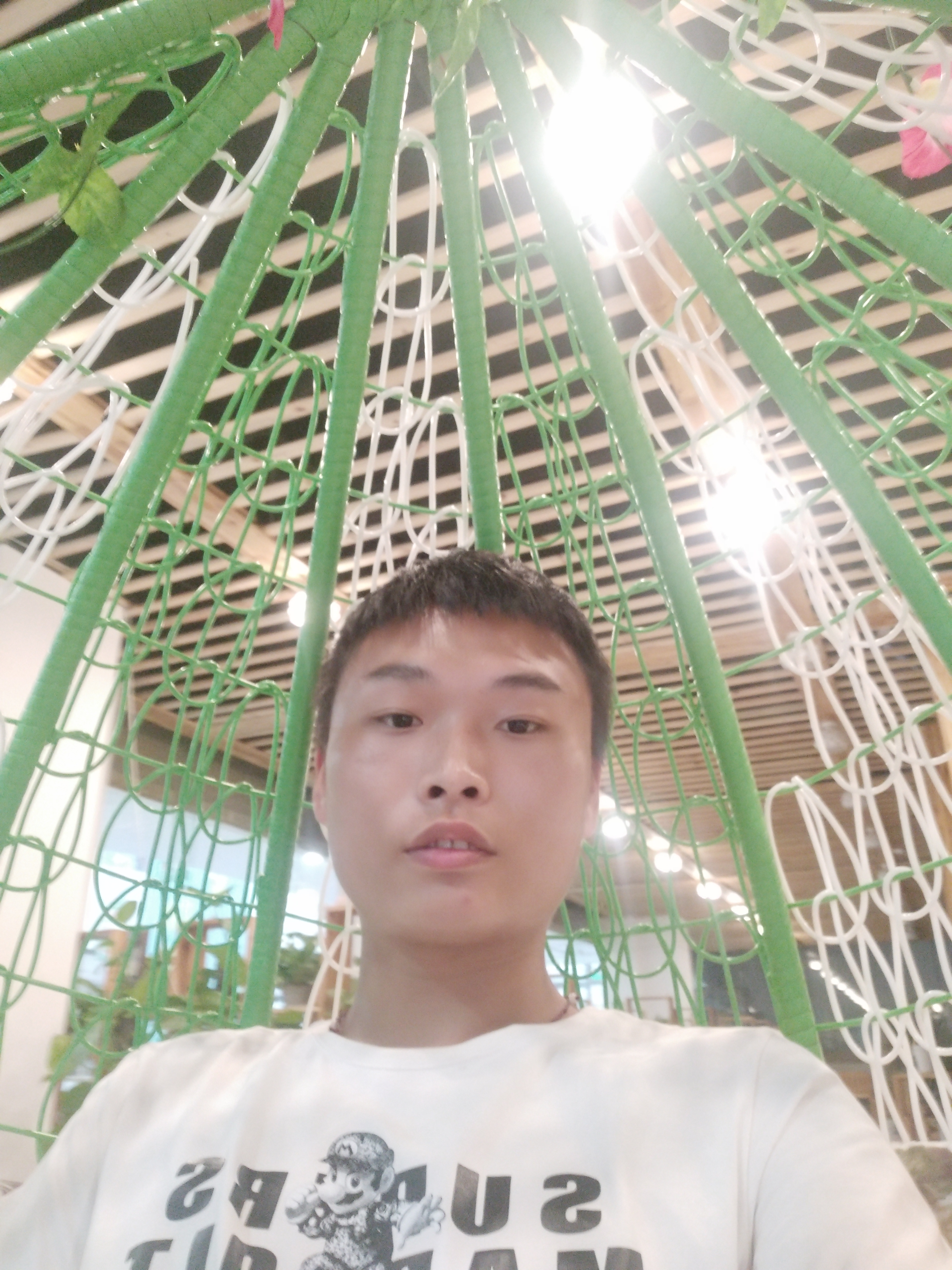 红硕的照片