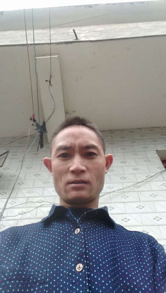 失落得爱情的照片