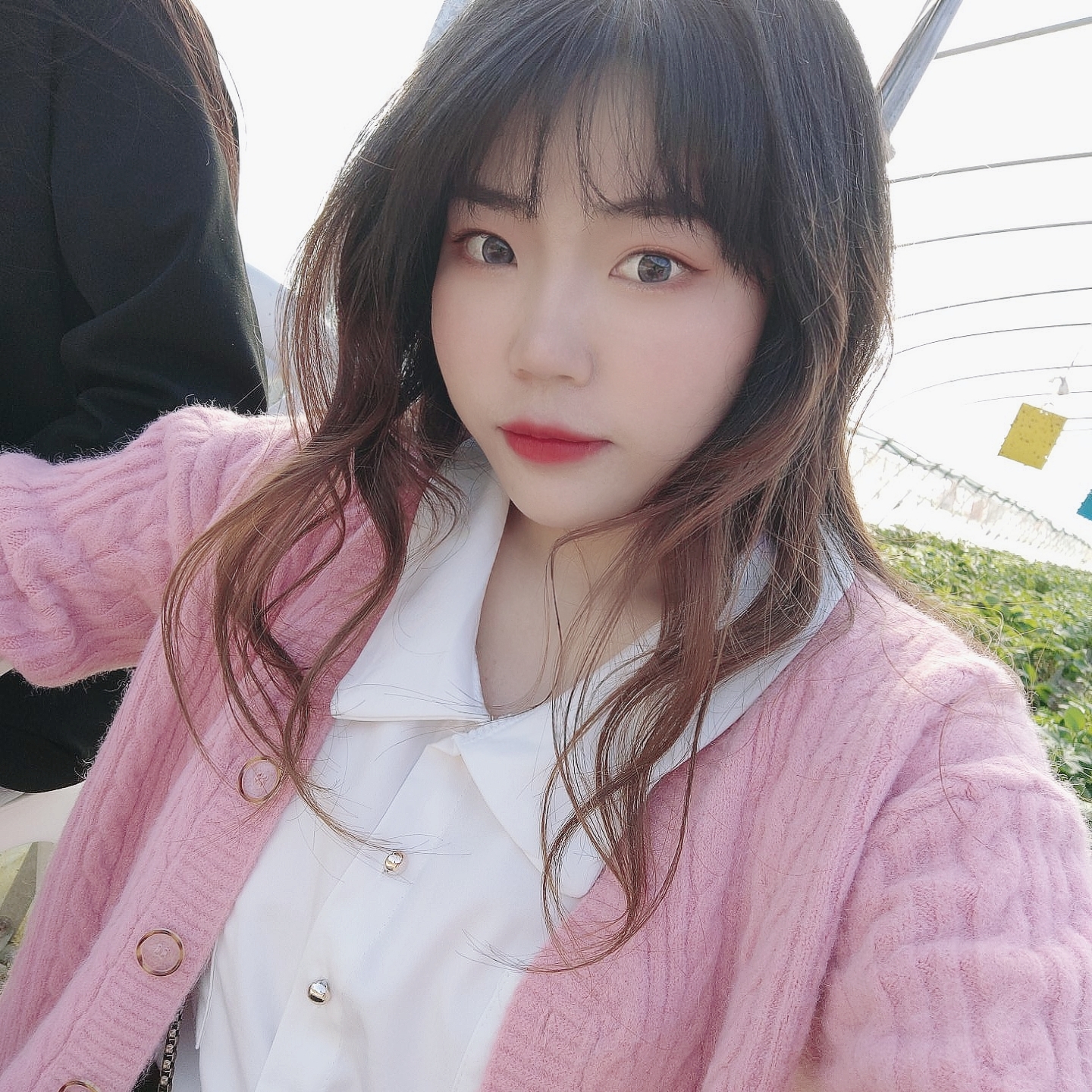 会员751729974的照片