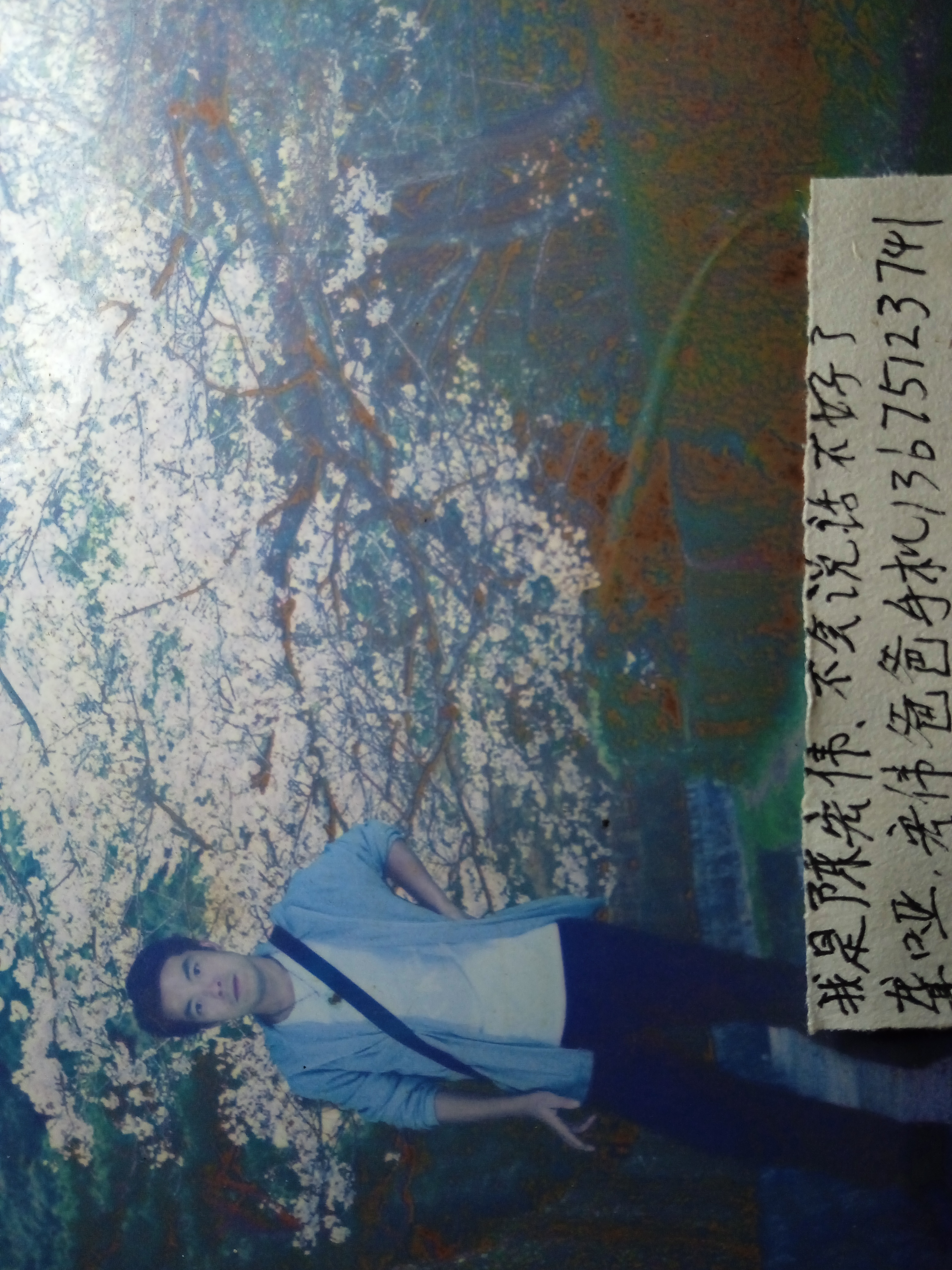 会员693464178的照片