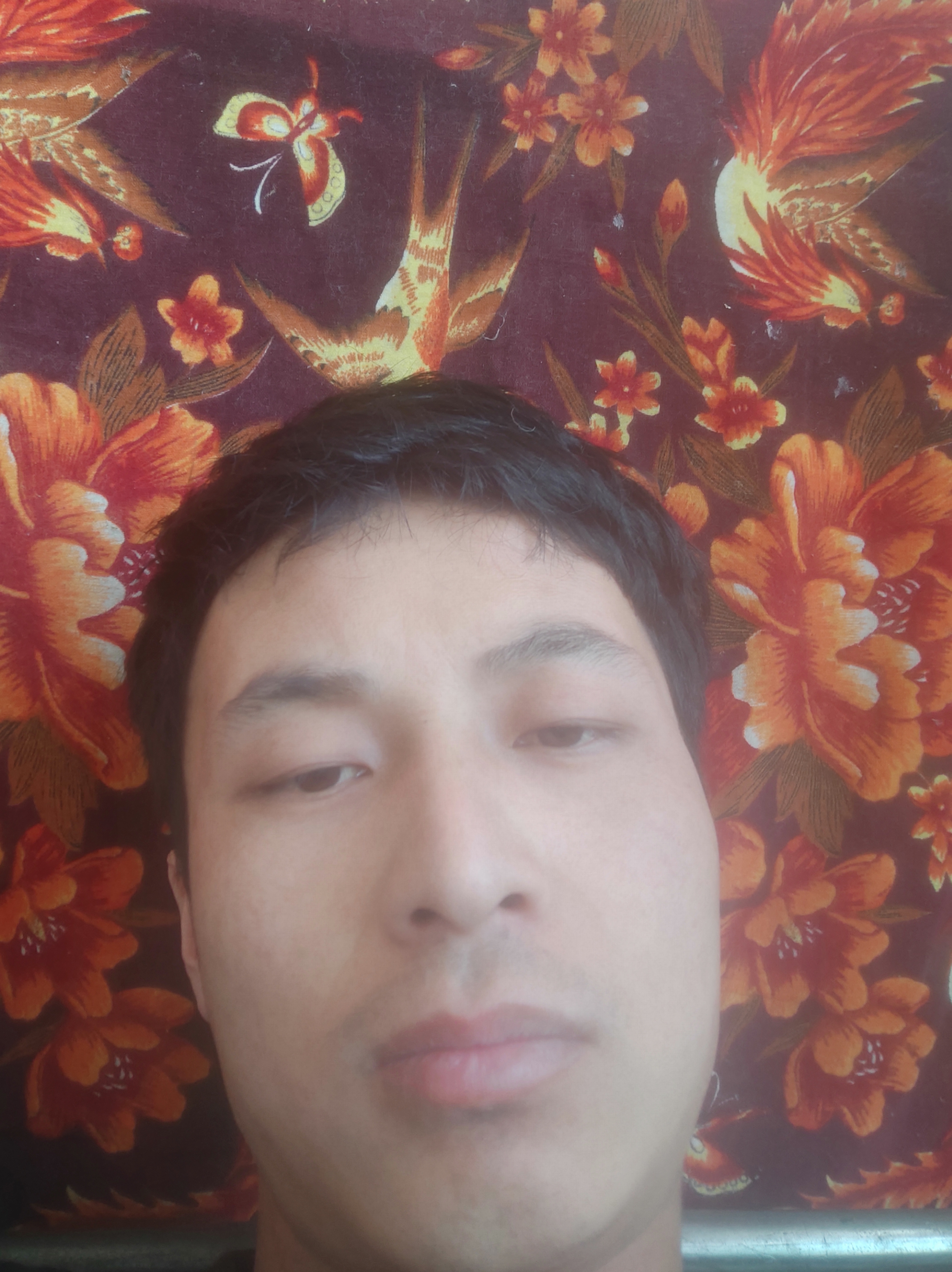 你来了@@@的照片
