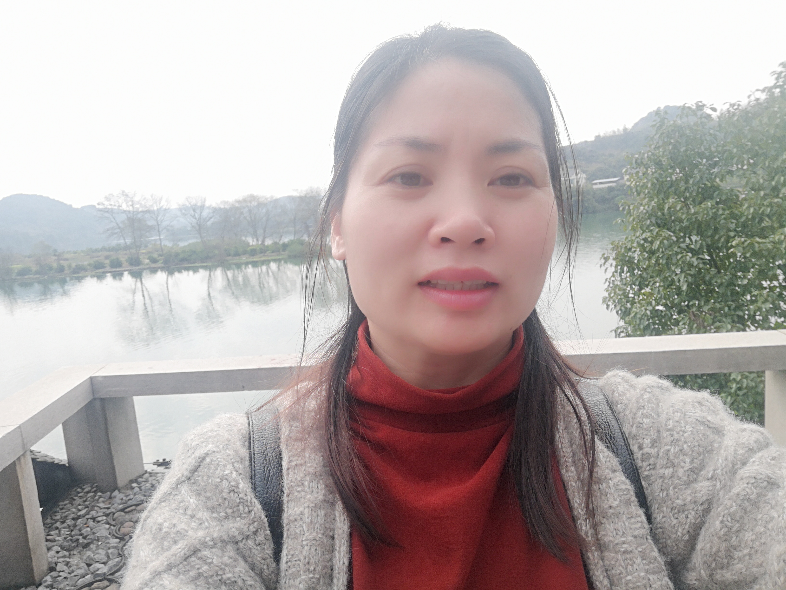 兰花无华的照片