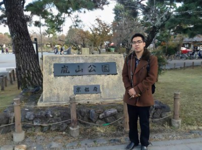四川竹叶的照片